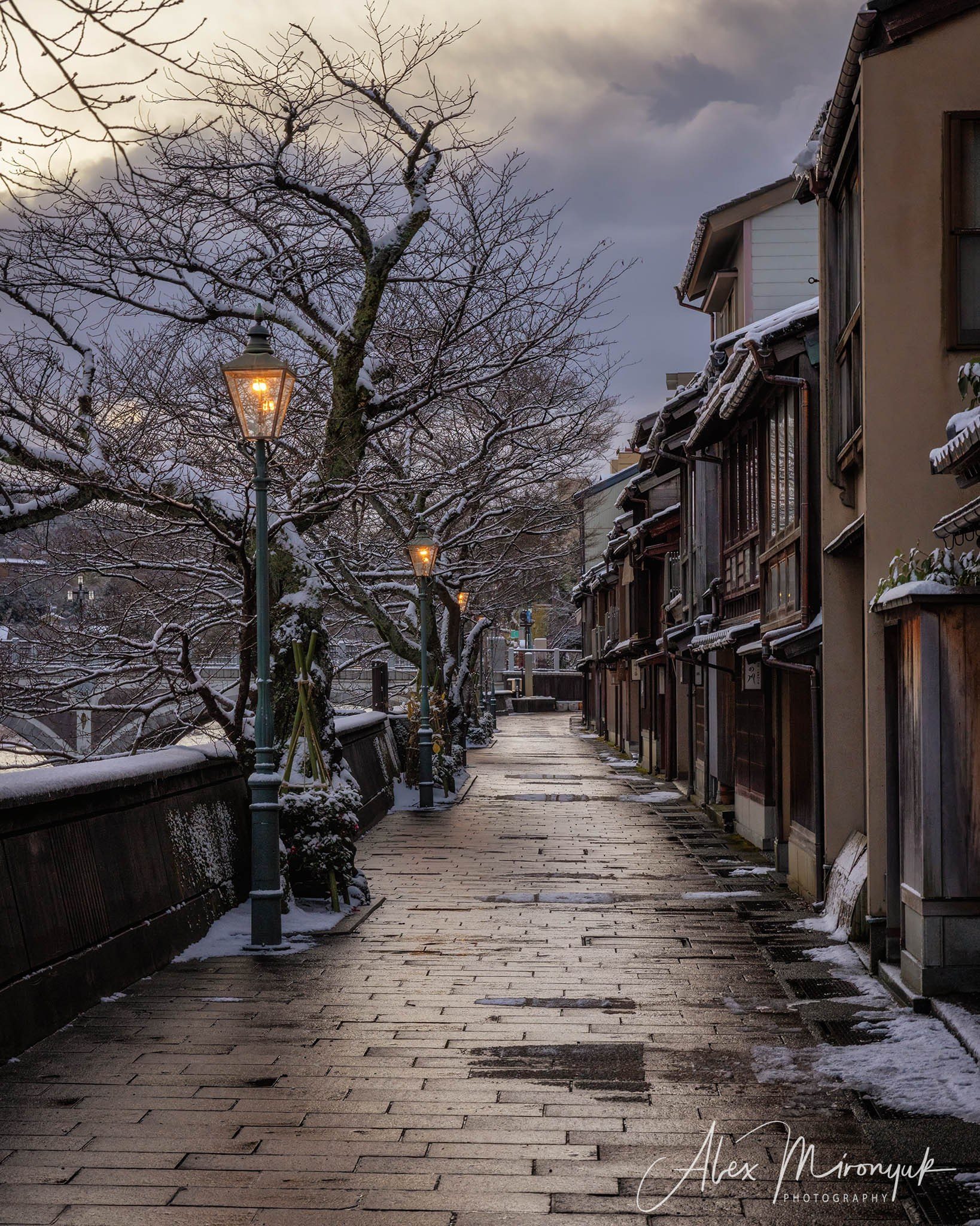 Winter Japan: Snow Monkeys, Castles & Timeless Villages. Pet, Senior, Landscape, portrait studio, photographer in Miami and Sou