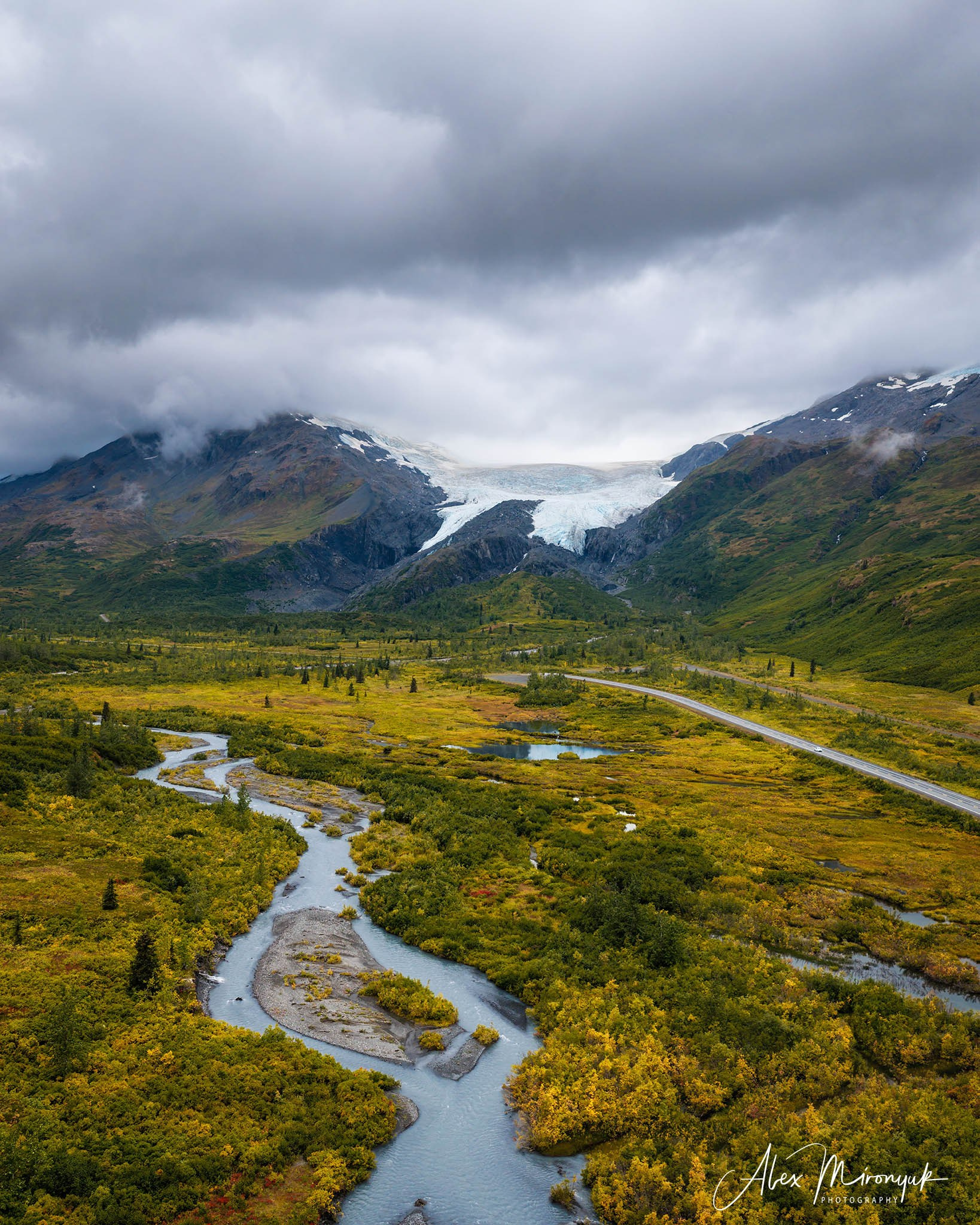 Alaskan Fall Colors. Pet, Senior, Landscape, portrait studio, photographer in Miami and Sou