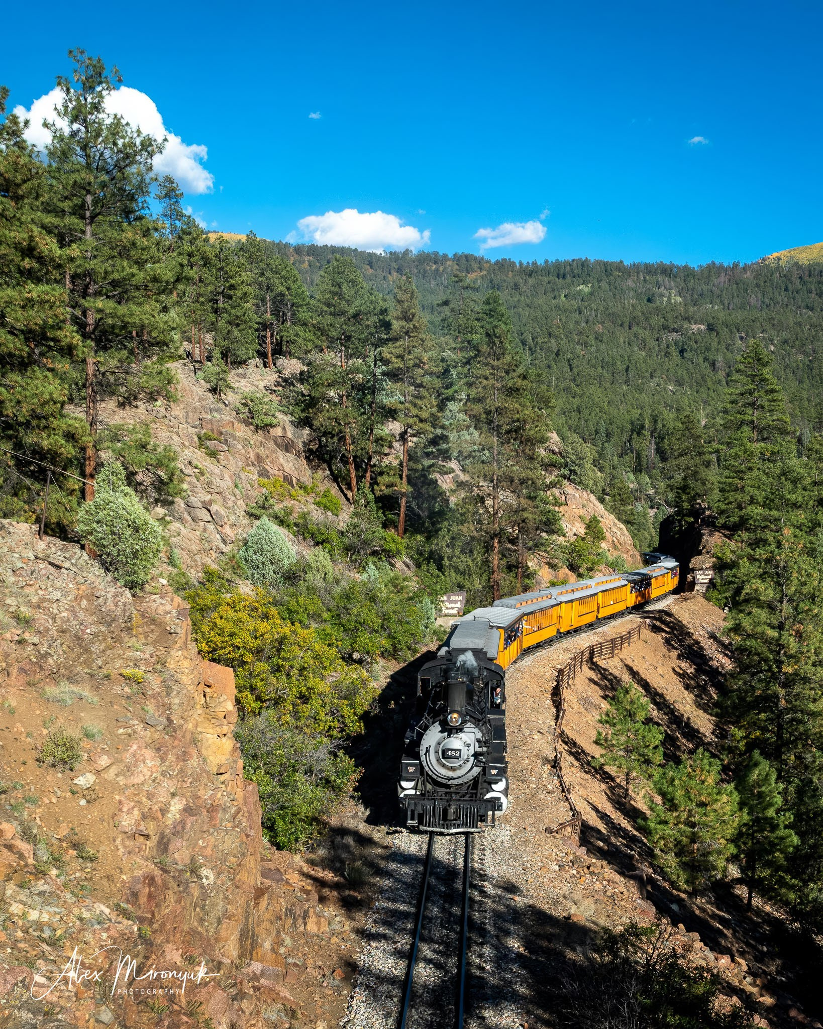 Fall Colors Of Colorado. Pet, Senior, Landscape, portrait studio, photographer in Miami and Sou