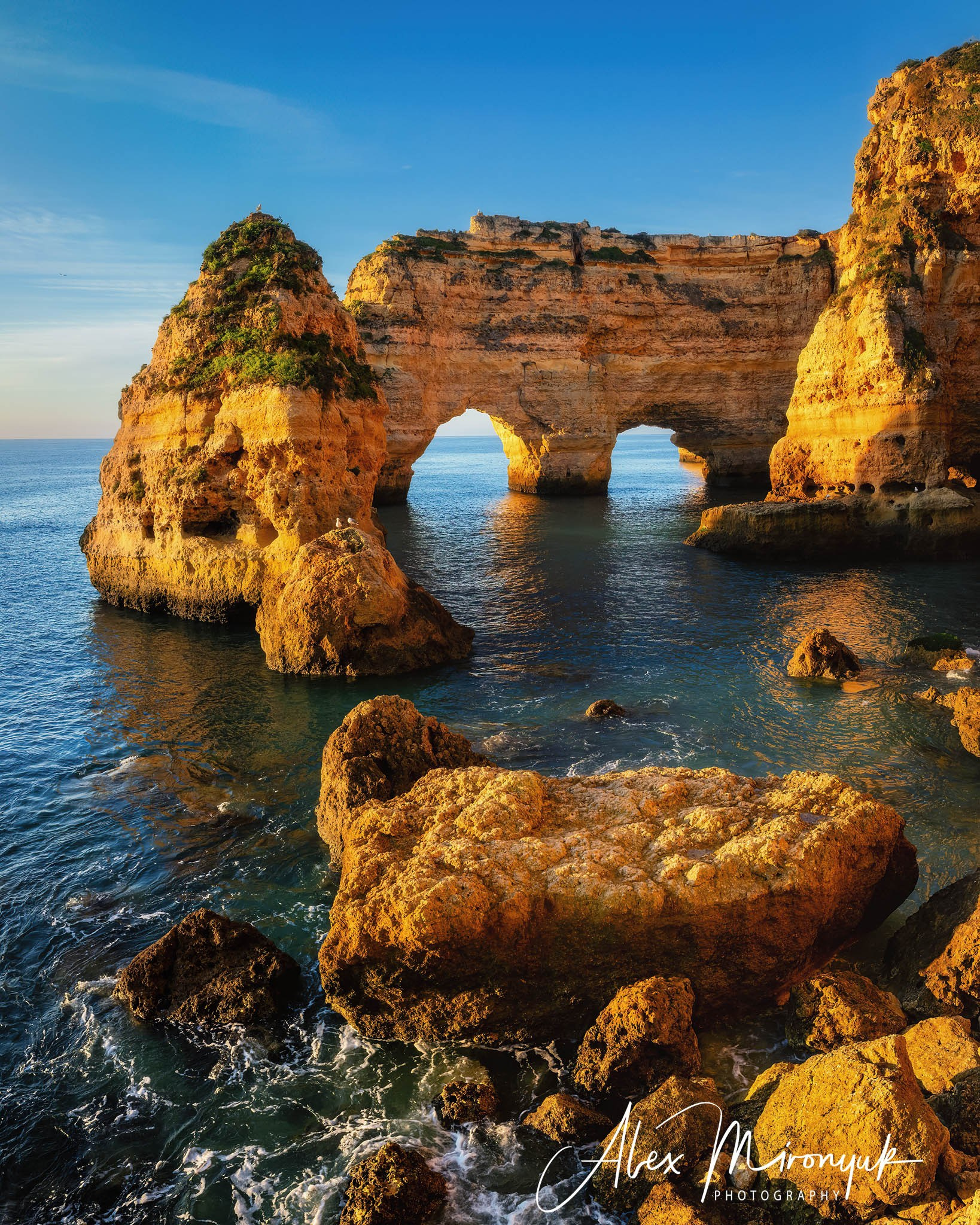 Portugal’s Scenic Treasures. Pet, Senior, Landscape, portrait studio, photographer in Miami and Sou