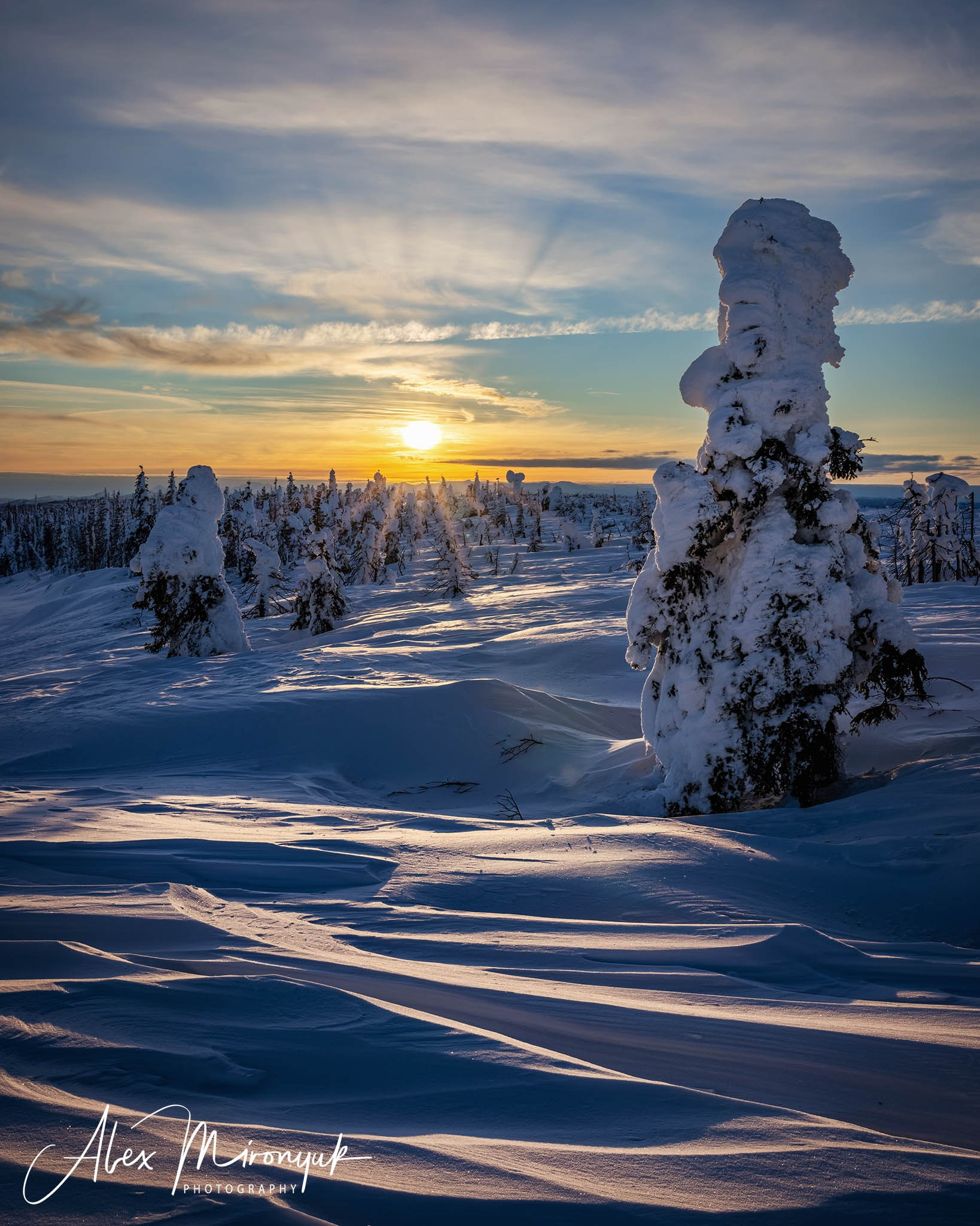 Chasing the Aurora Borealis. Pet, Senior, Landscape, portrait studio, photographer in Miami and Sou