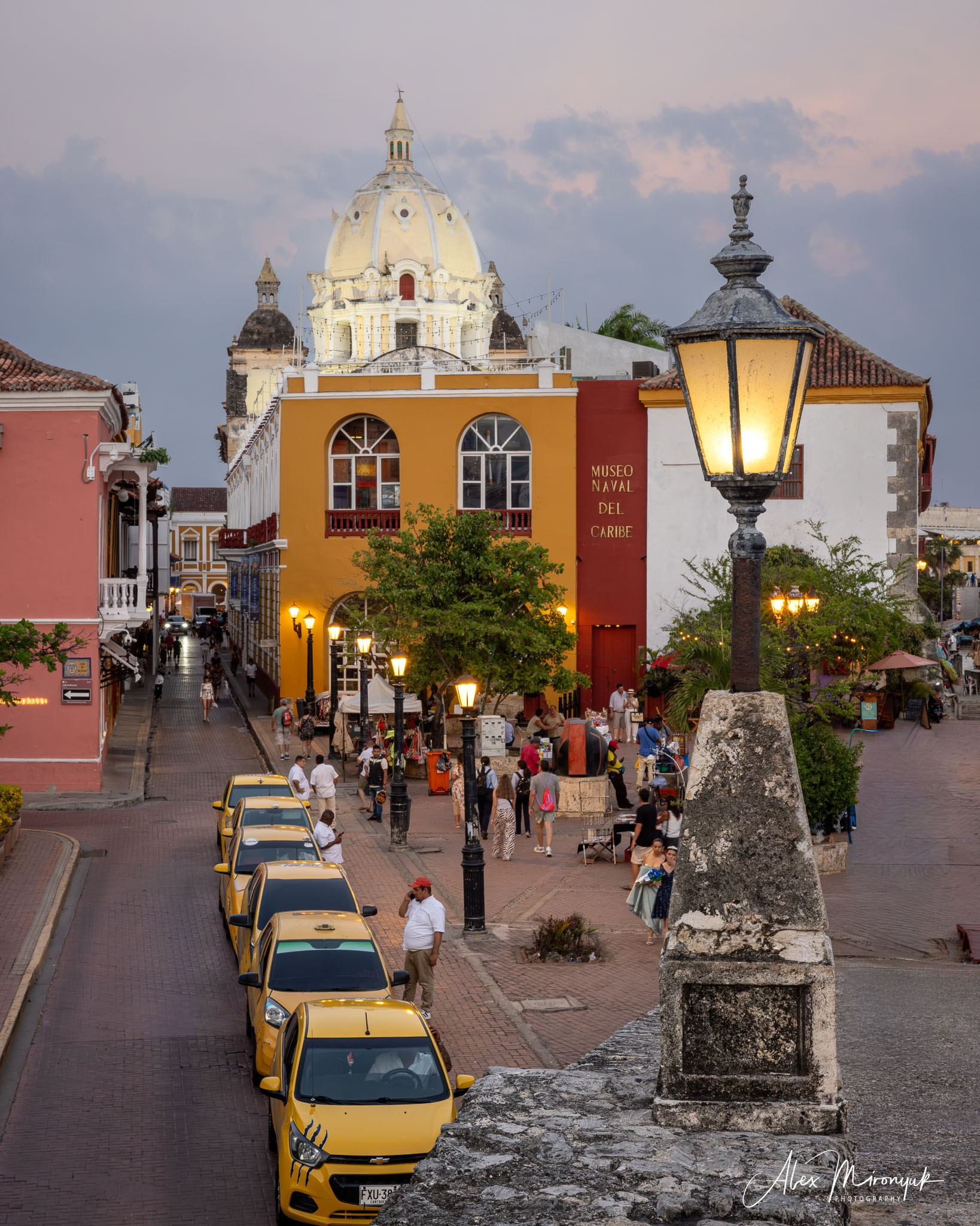 Colombia in Style. Pet, Senior, Landscape, portrait studio, photographer in Miami and Sou