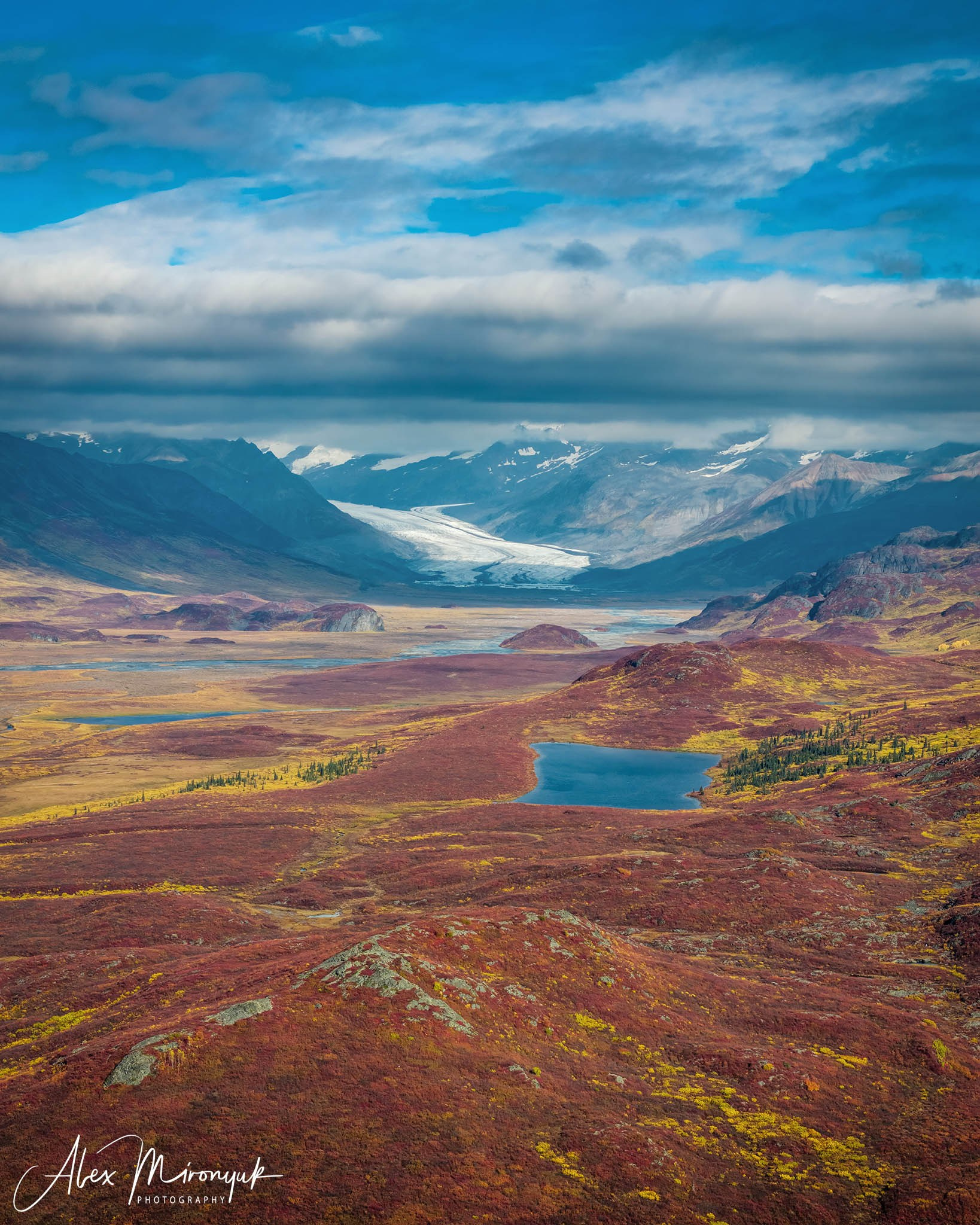Alaskan Fall Colors. Pet, Senior, Landscape, portrait studio, photographer in Miami and Sou