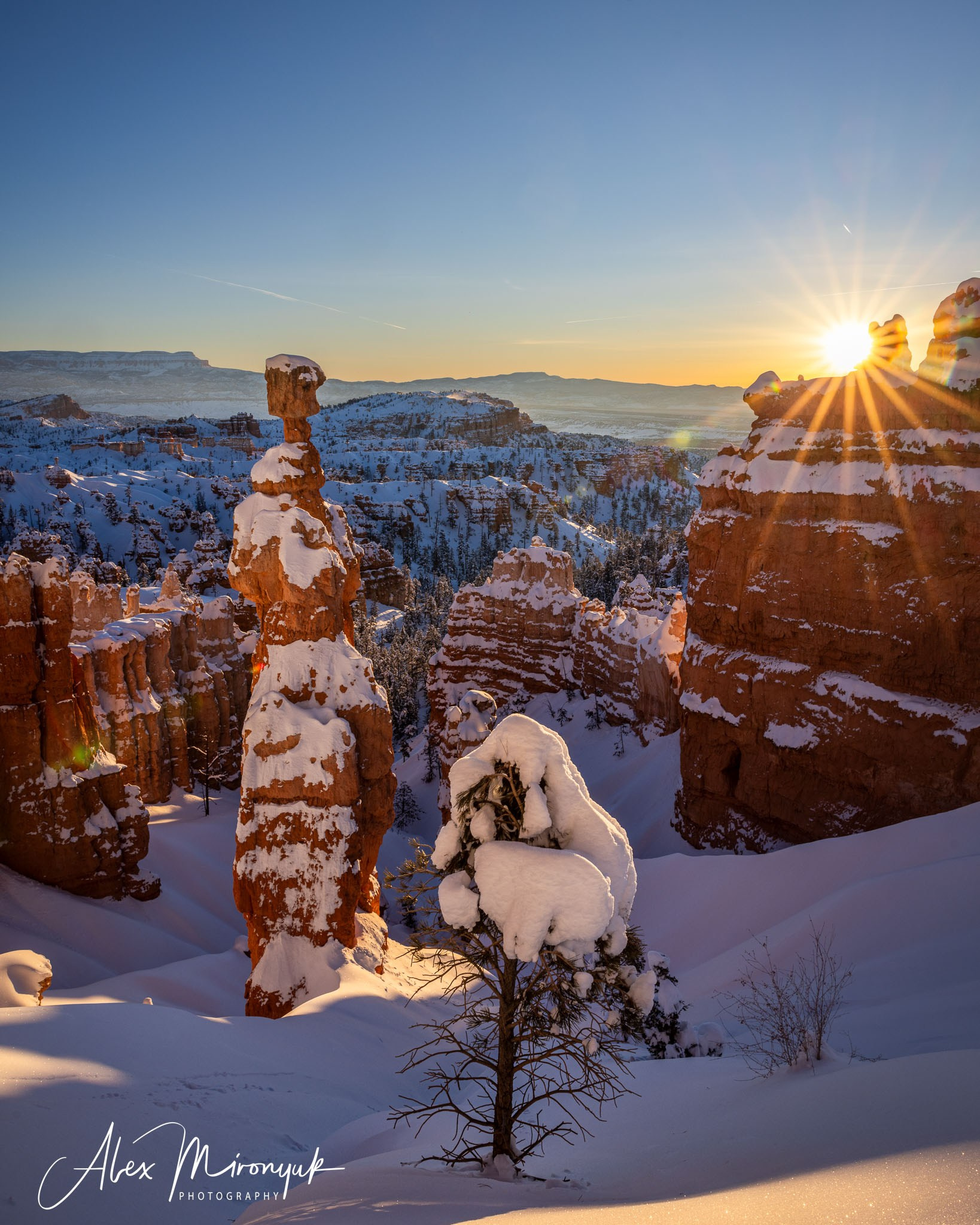 New Year In Utah. Pet, Senior, Landscape, portrait studio, photographer in Miami and Sou