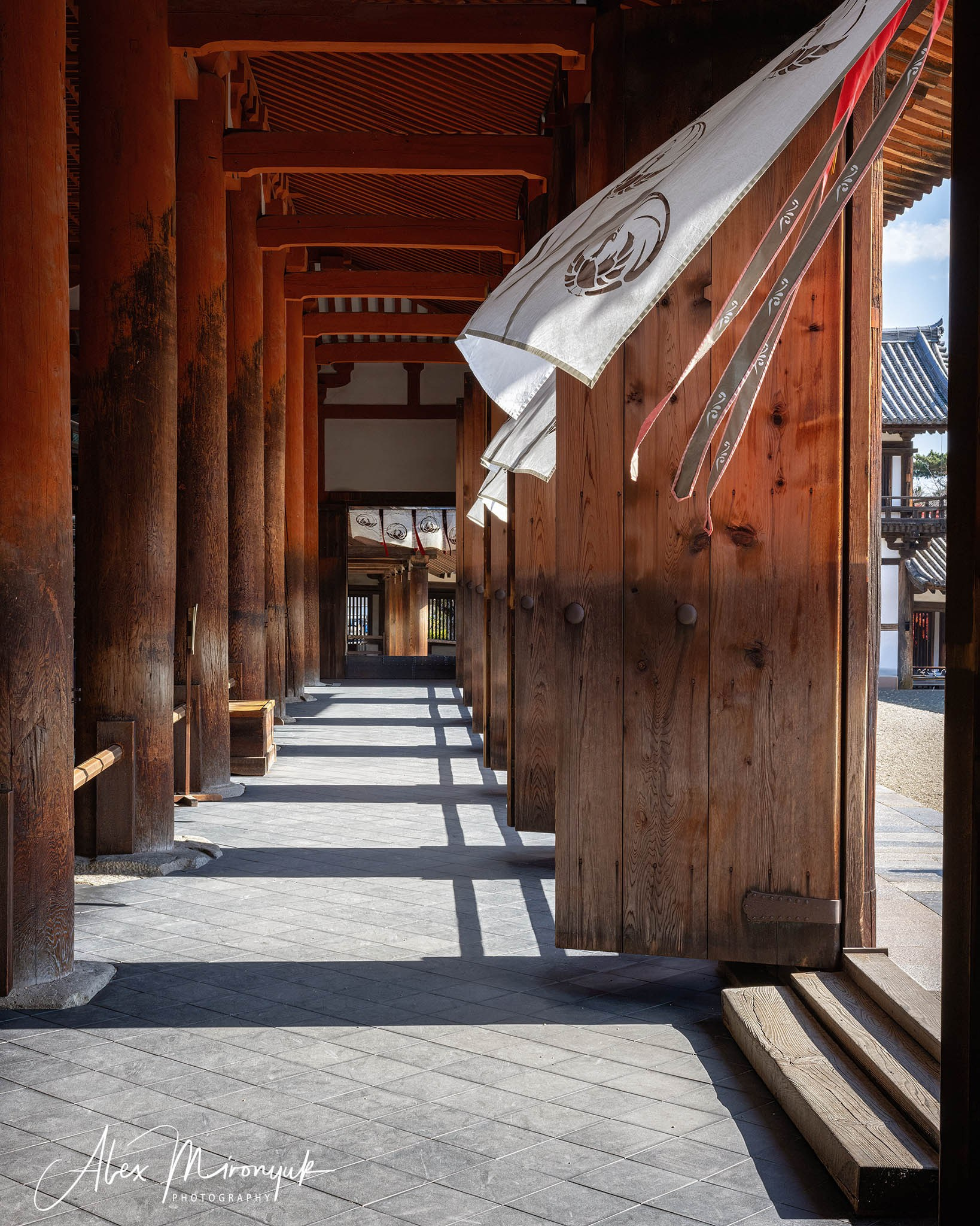 Autumn Colors of Japan (1). Pet, Senior, Landscape, portrait studio, photographer in Miami and Sou