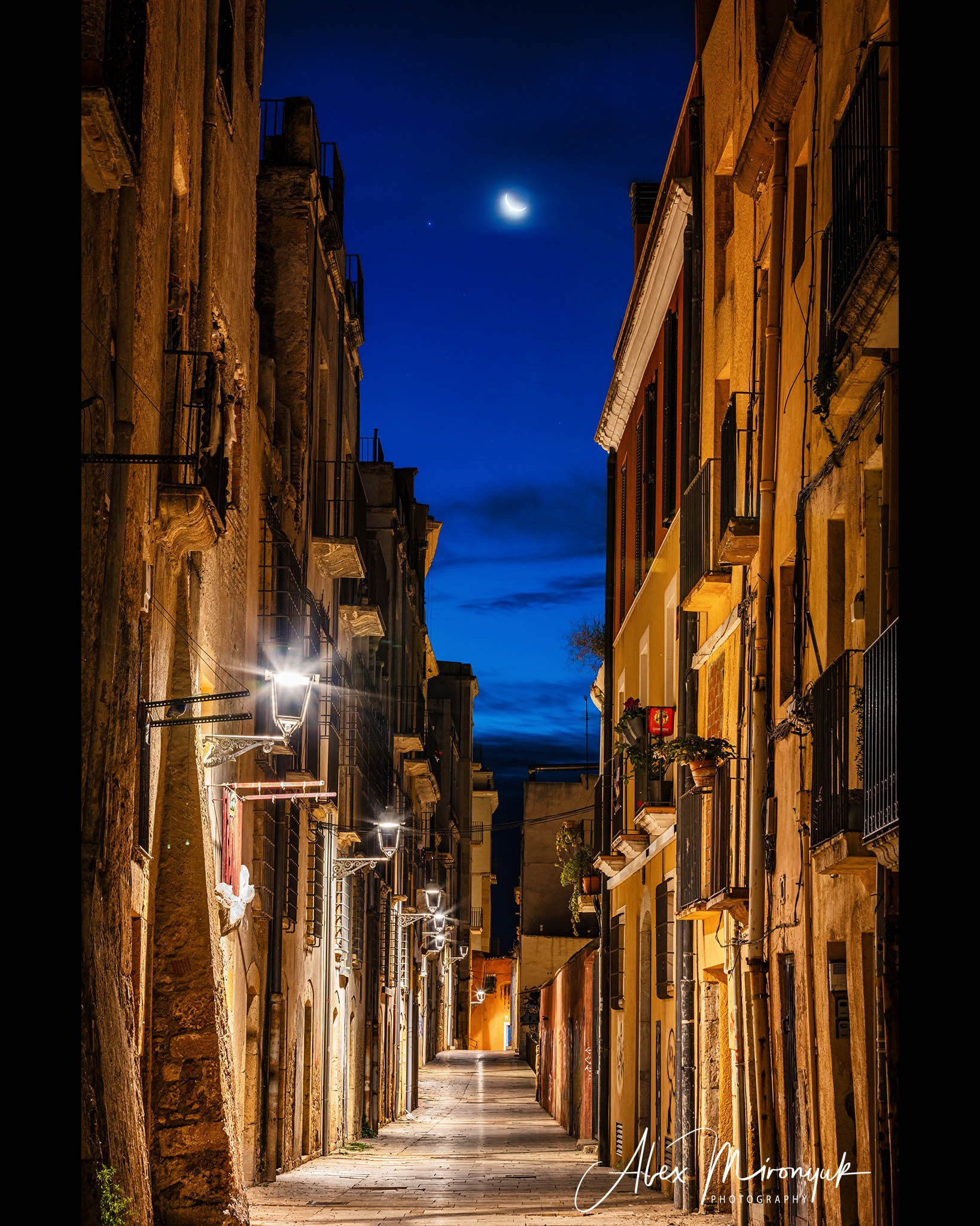 Catalonian Medieval Castles. Pet, Senior, Landscape, portrait studio, photographer in Miami and Sou