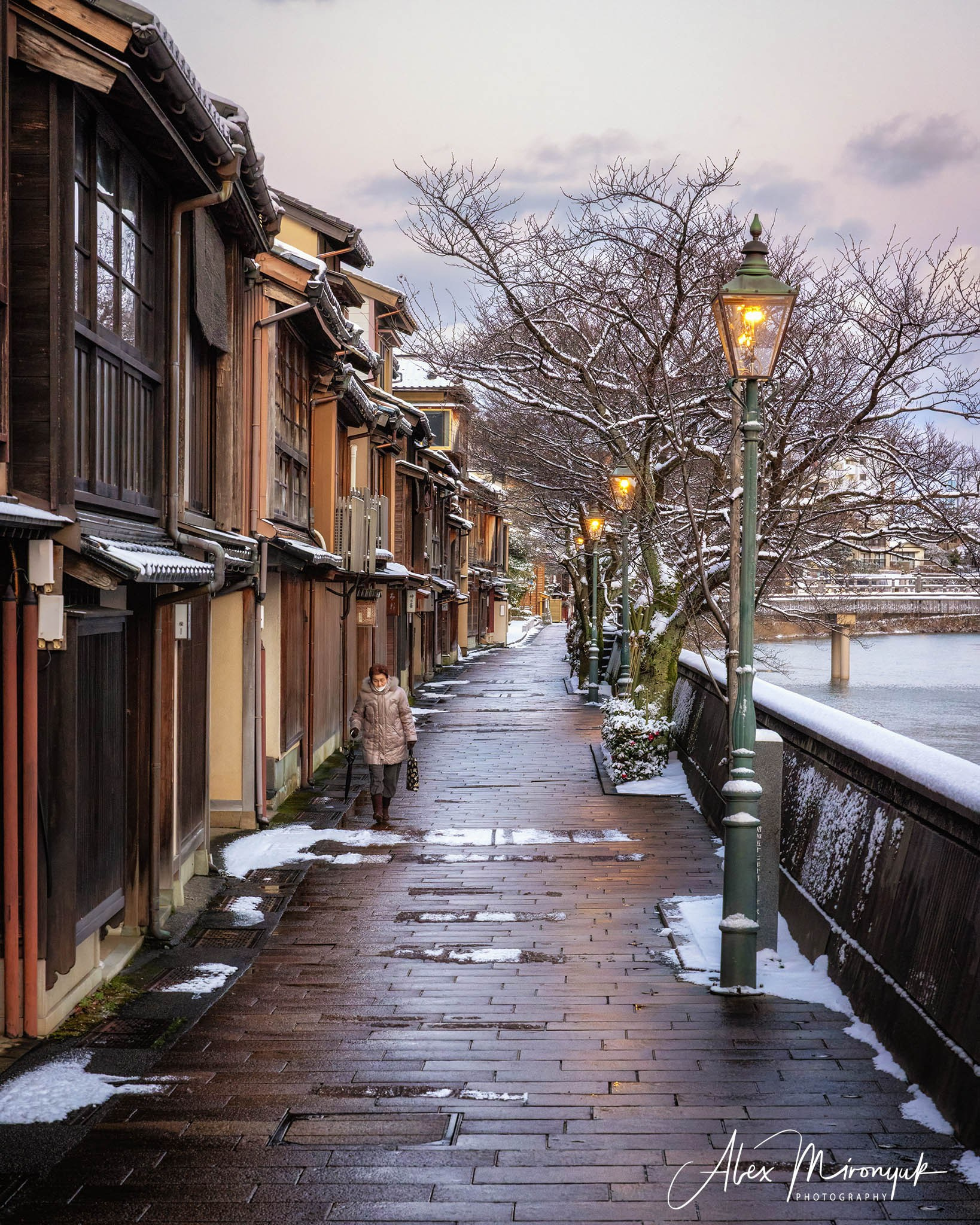 Winter Japan: Snow Monkeys, Castles & Timeless Villages. Pet, Senior, Landscape, portrait studio, photographer in Miami and Sou