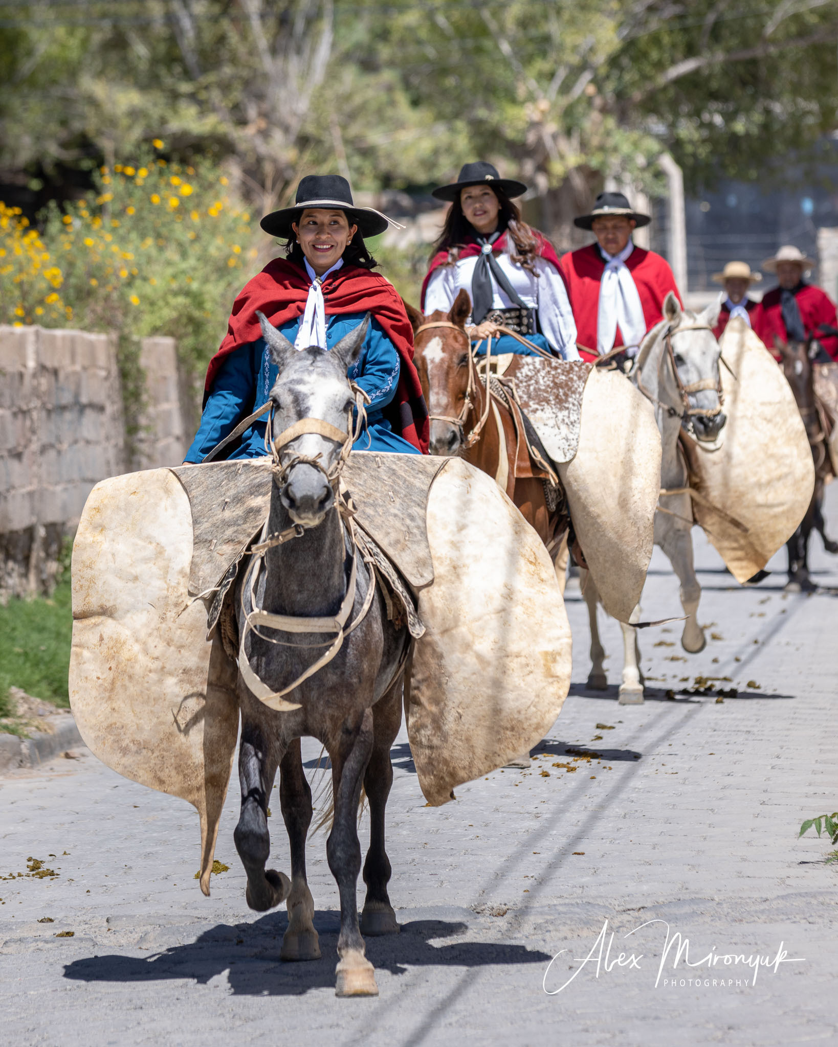 Unknown Northern Argentina. Pet, Senior, Landscape, portrait studio, photographer in Miami and Sou