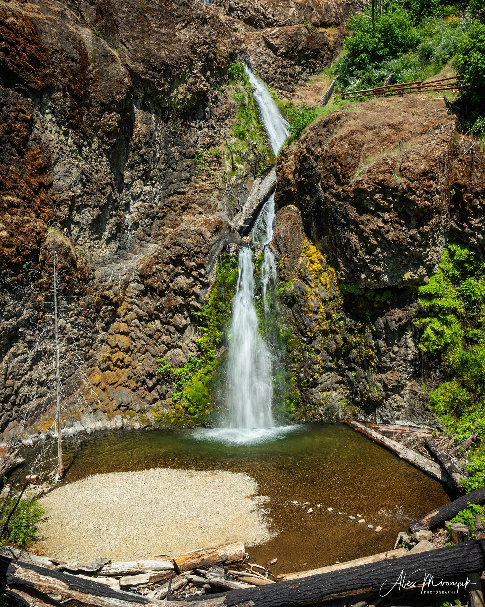 From Crater Lake to the Coast — A Photographer’s Journey. Pet, Senior, Landscape, portrait studio, photographer in Miami and Sou