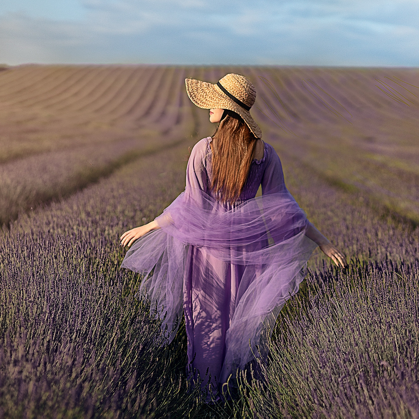 Hitchin Lavender photoshoot. Stevenage, Hertfordshire family and newborn photographer