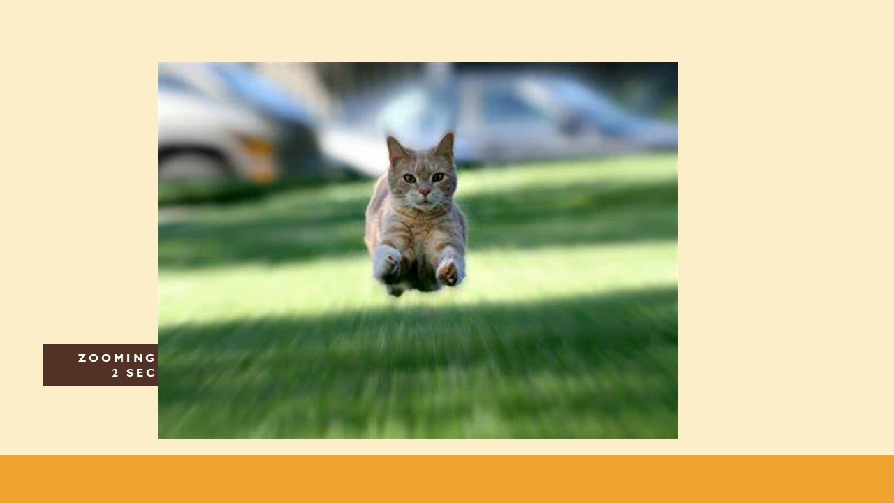 🟣Corso Fotografia. “Gianmaria Coscia fotografo per passione”