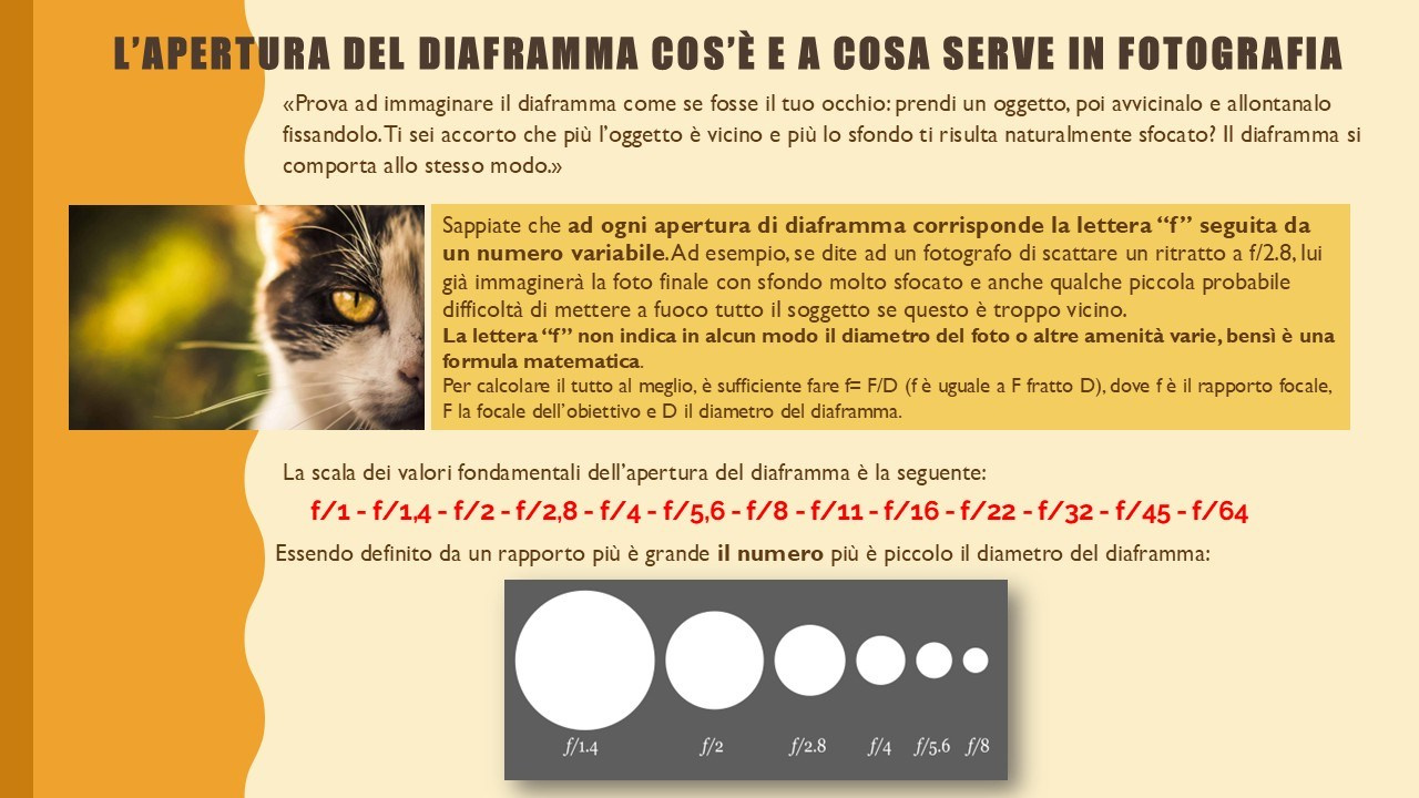 🟣Corso Fotografia. “Gianmaria Coscia fotografo per passione”