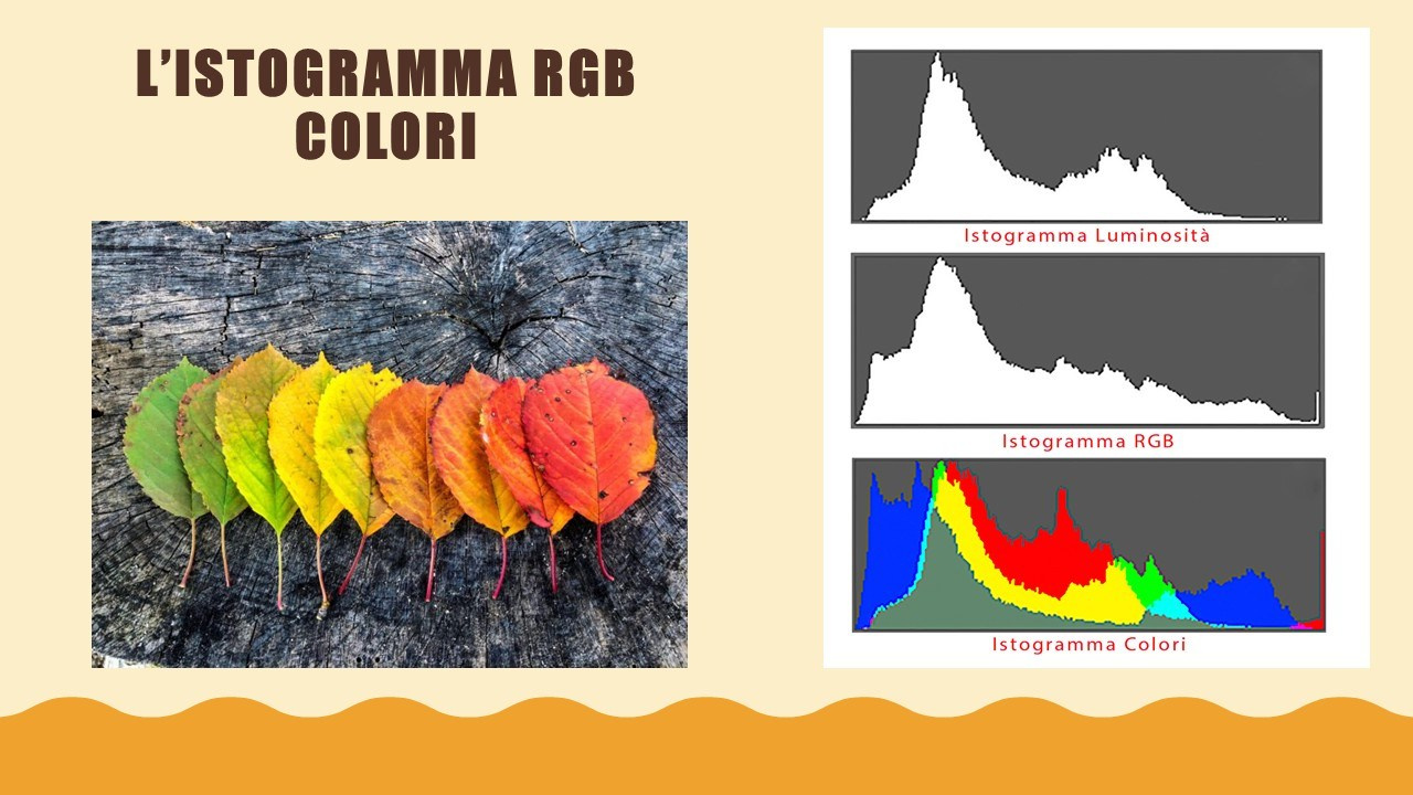 🟣Corso Fotografia. “Gianmaria Coscia fotografo per passione”