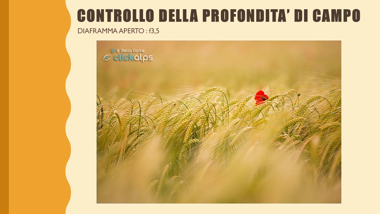 🟣Corso Fotografia. “Gianmaria Coscia fotografo per passione”