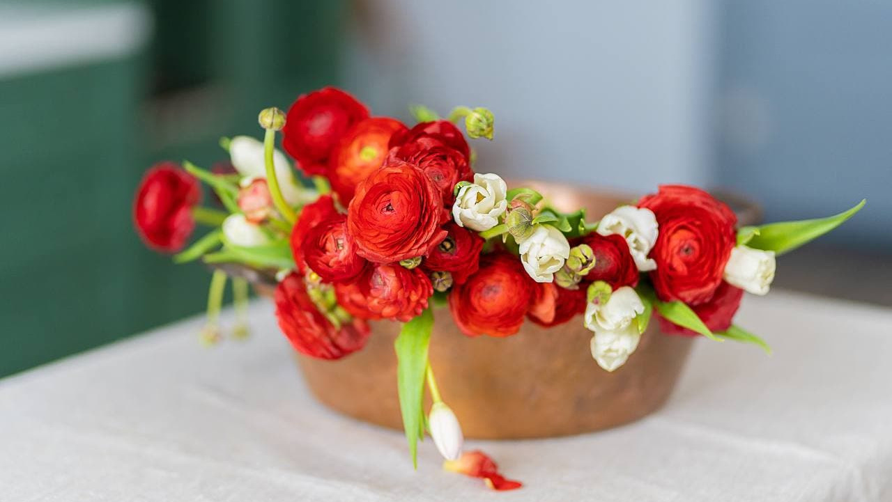 Інфо. Фотограф Київ Кислюк Олена