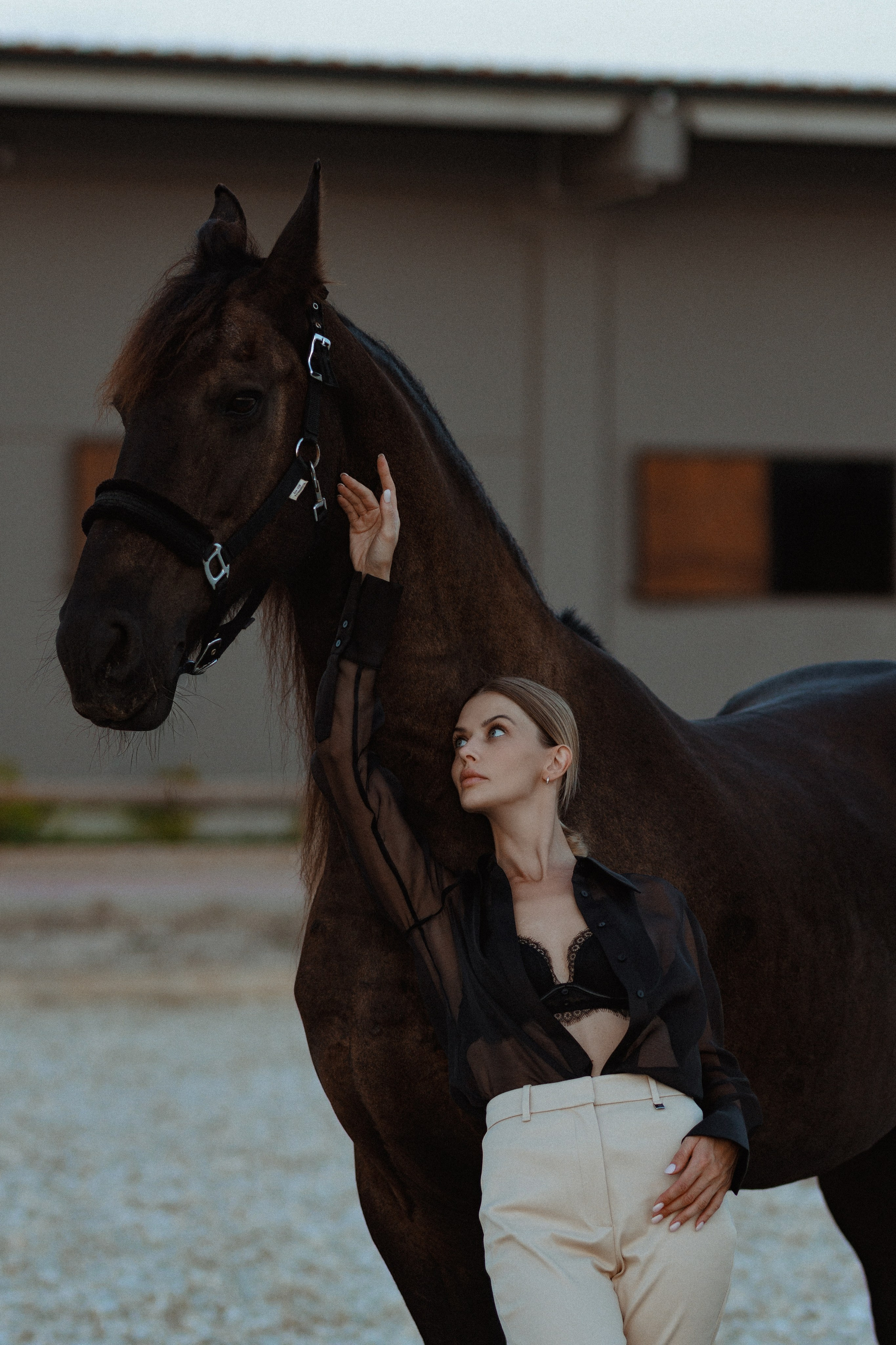 Фотосессия с лошадью в Анталии. Фотограф в Турции | Алания, Сиде, Белек, Анталия, Кемер)