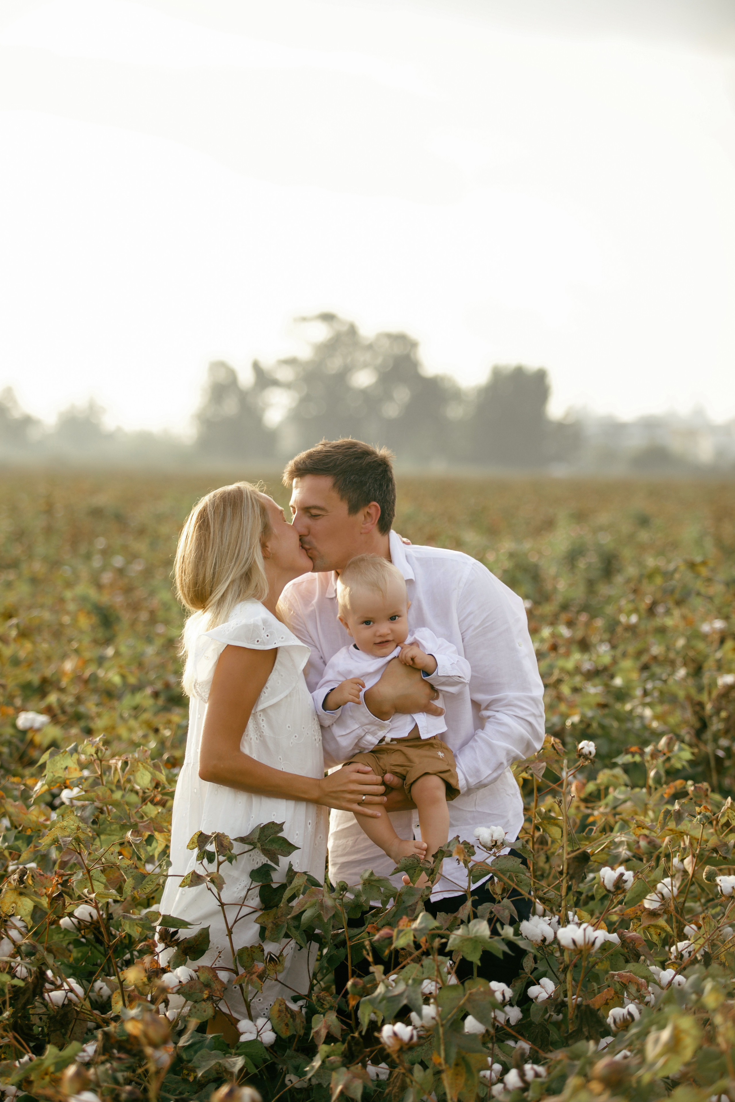 Фотосессия на хлопковом поле (сентябрь–октябрь). Фотограф в Турции | Алания, Сиде, Белек, Анталия, Кемер)