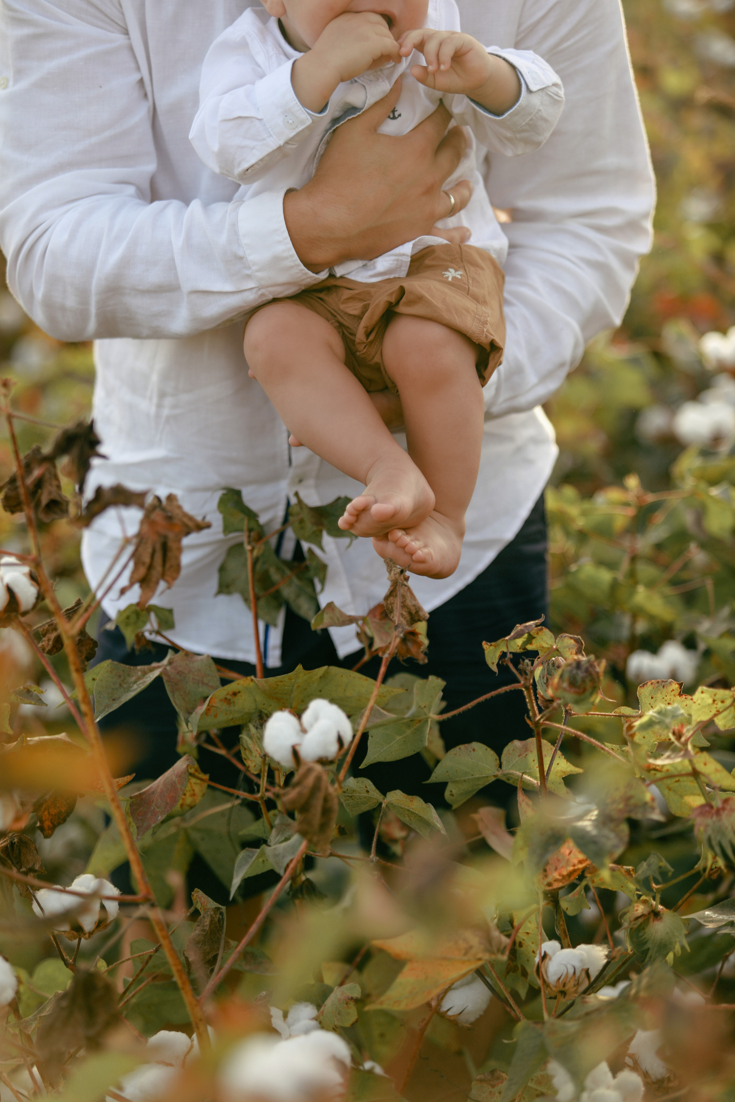 Фотосессия на хлопковом поле (сентябрь–октябрь). Фотограф в Турции | Алания, Сиде, Белек, Анталия, Кемер)