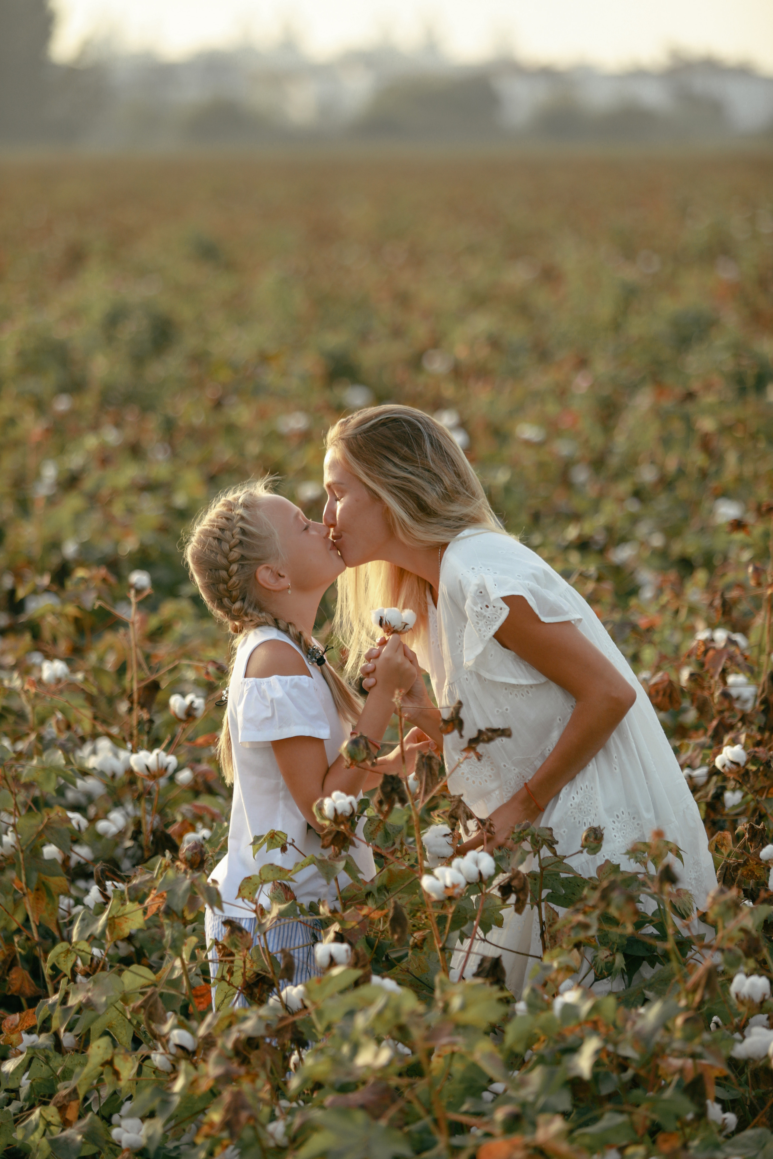 Фотосессия на хлопковом поле (сентябрь–октябрь). Фотограф в Турции | Алания, Сиде, Белек, Анталия, Кемер)