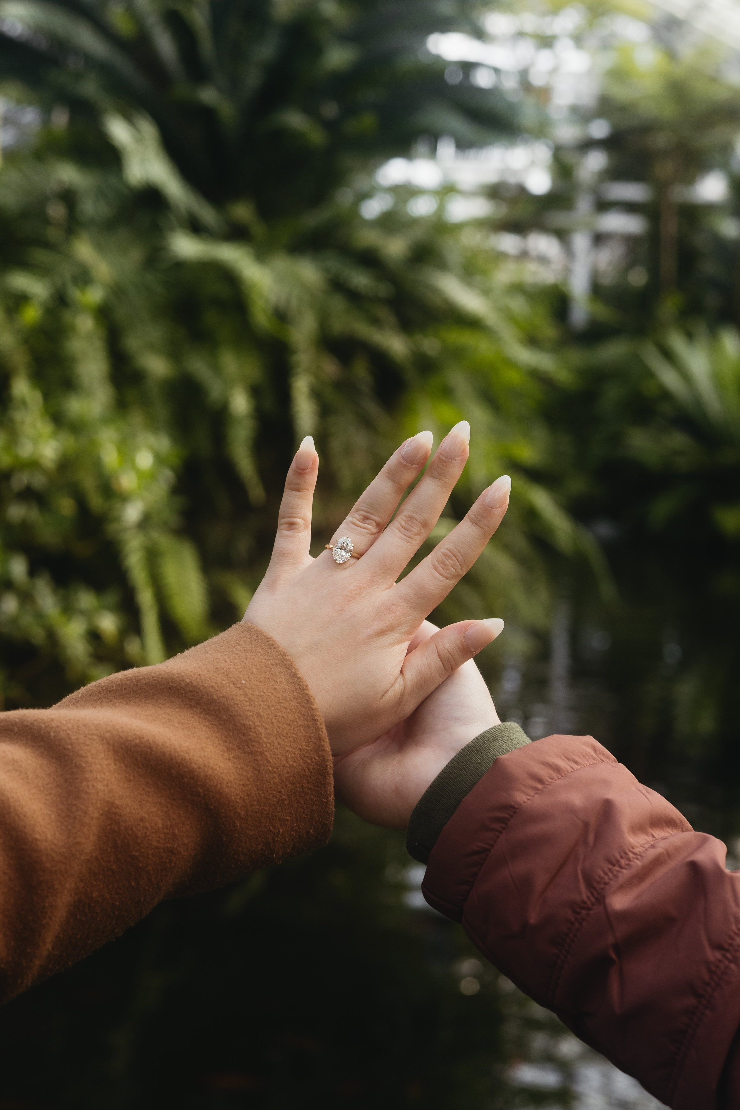 Close-up of engagement ring on hand during proposal at Garfield Park Conservatory