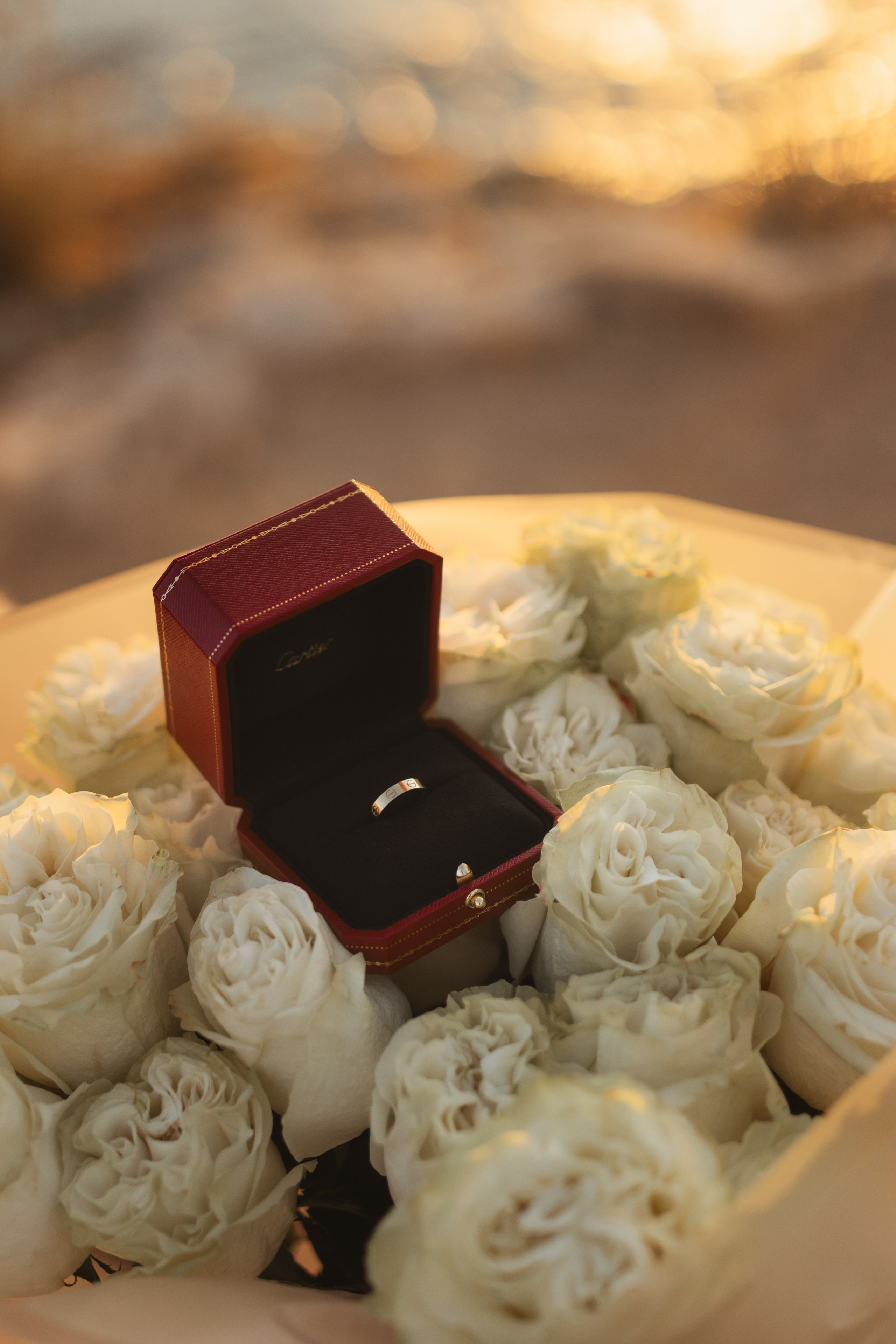 Предложения руки и сердца в Анталии. Предложения руки и сердца в Алании. Предложения руки и сердца в Белеке. Предложения руки и сердца в Турции. Предложения руки и сердца в Кемере. Где сделать предложение руки и сердца в Алании? Предложение руки и сердца на яхте в Турции . Фотограф в Анталии. Организация свадеб в Анталии .