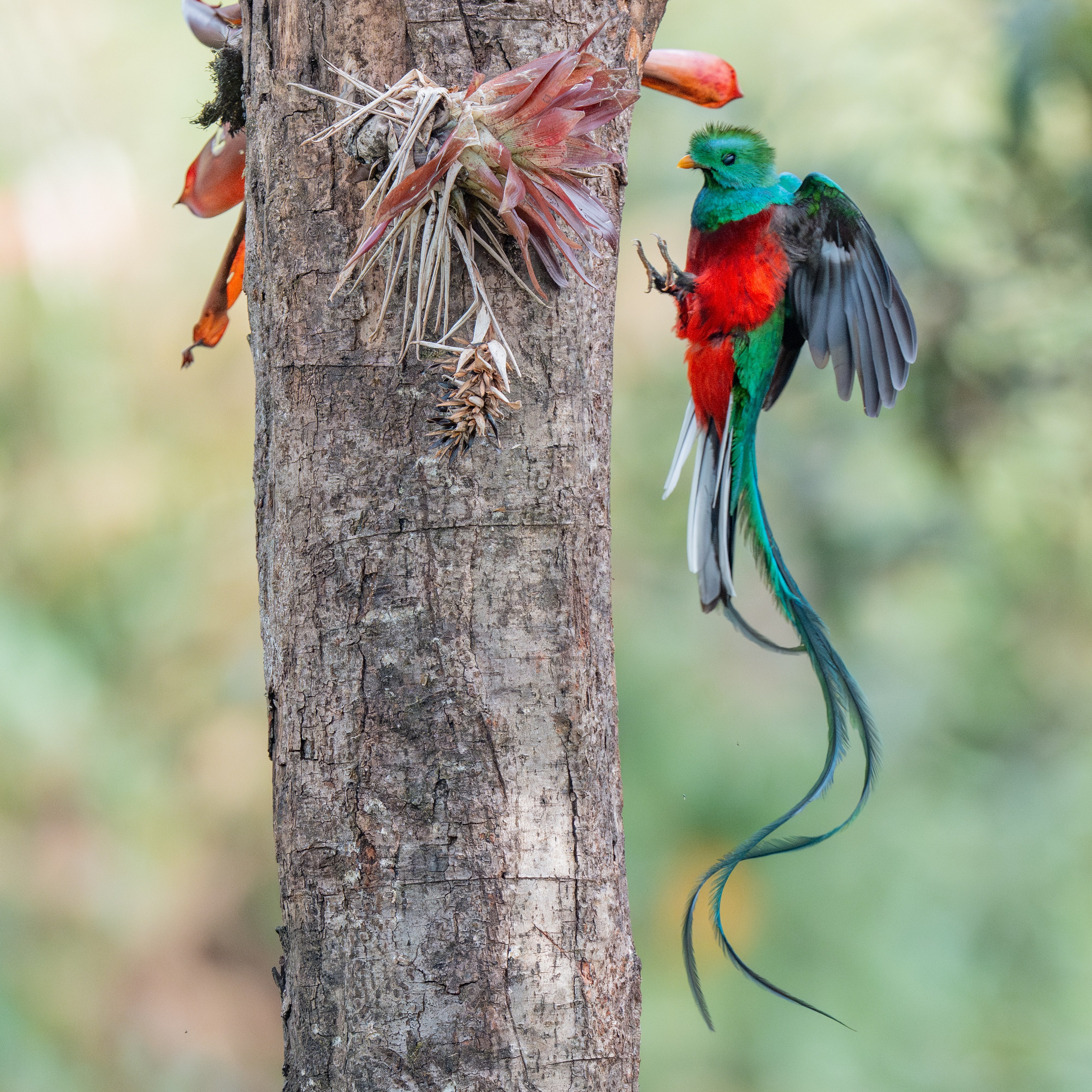 Nature photographer Yuri Soria-Galvarro