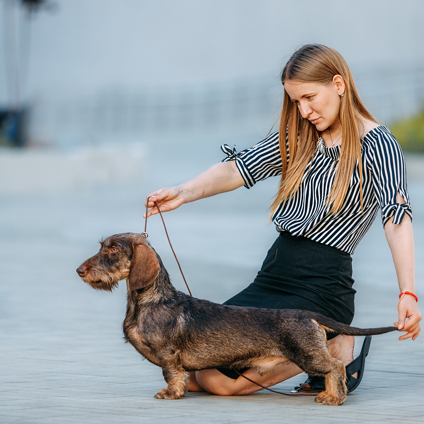 Фото. Фотограф-анімаліст Київ