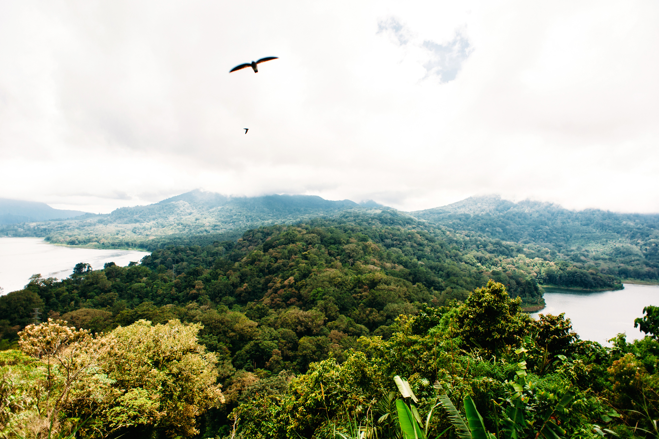 Wedding family photographer Alicante Benidorm Valencia Costa Blanca