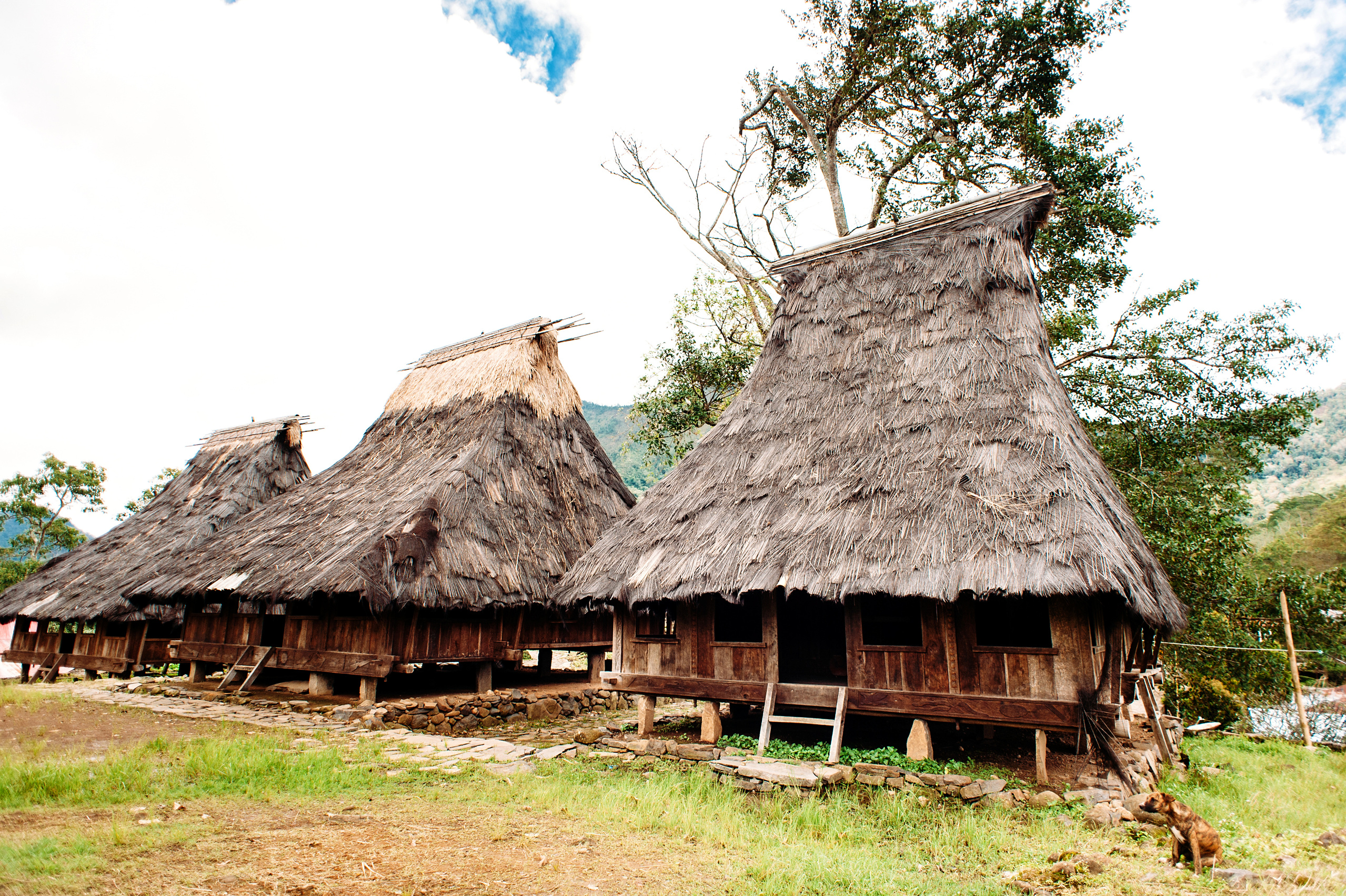 Wedding family photographer Alicante Benidorm Valencia Costa Blanca