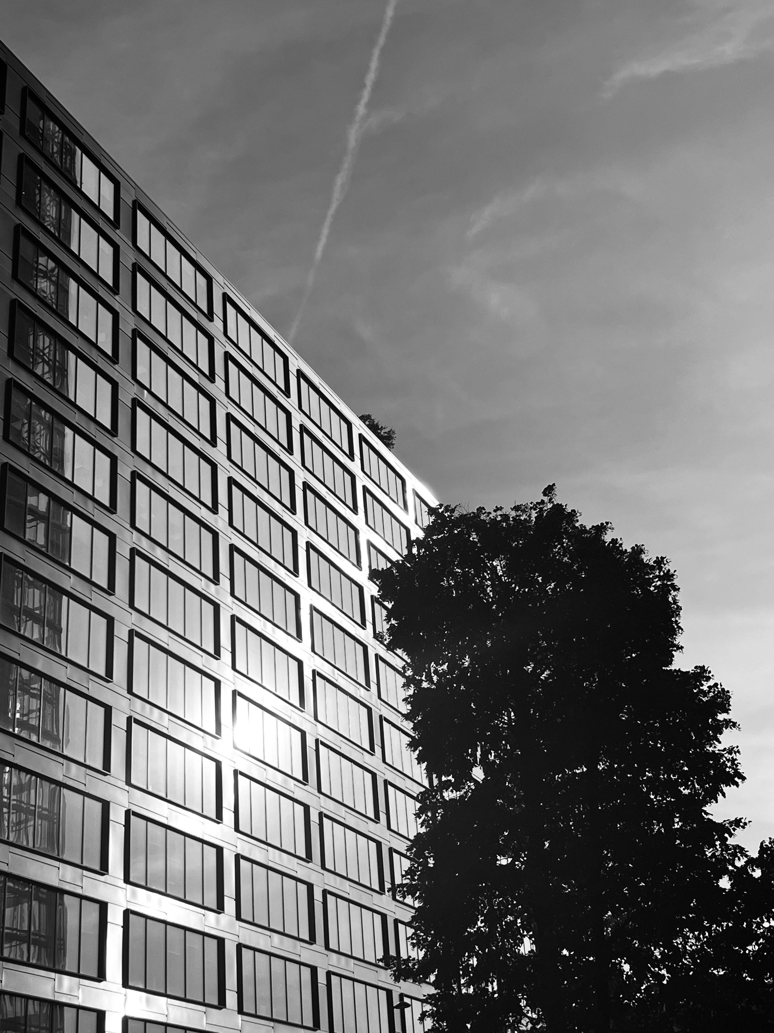 Miasto, które mijam. Olga Kępka-Peryt|Naturalna fotografia portretowa i lifestyle|Warszawa i okolice