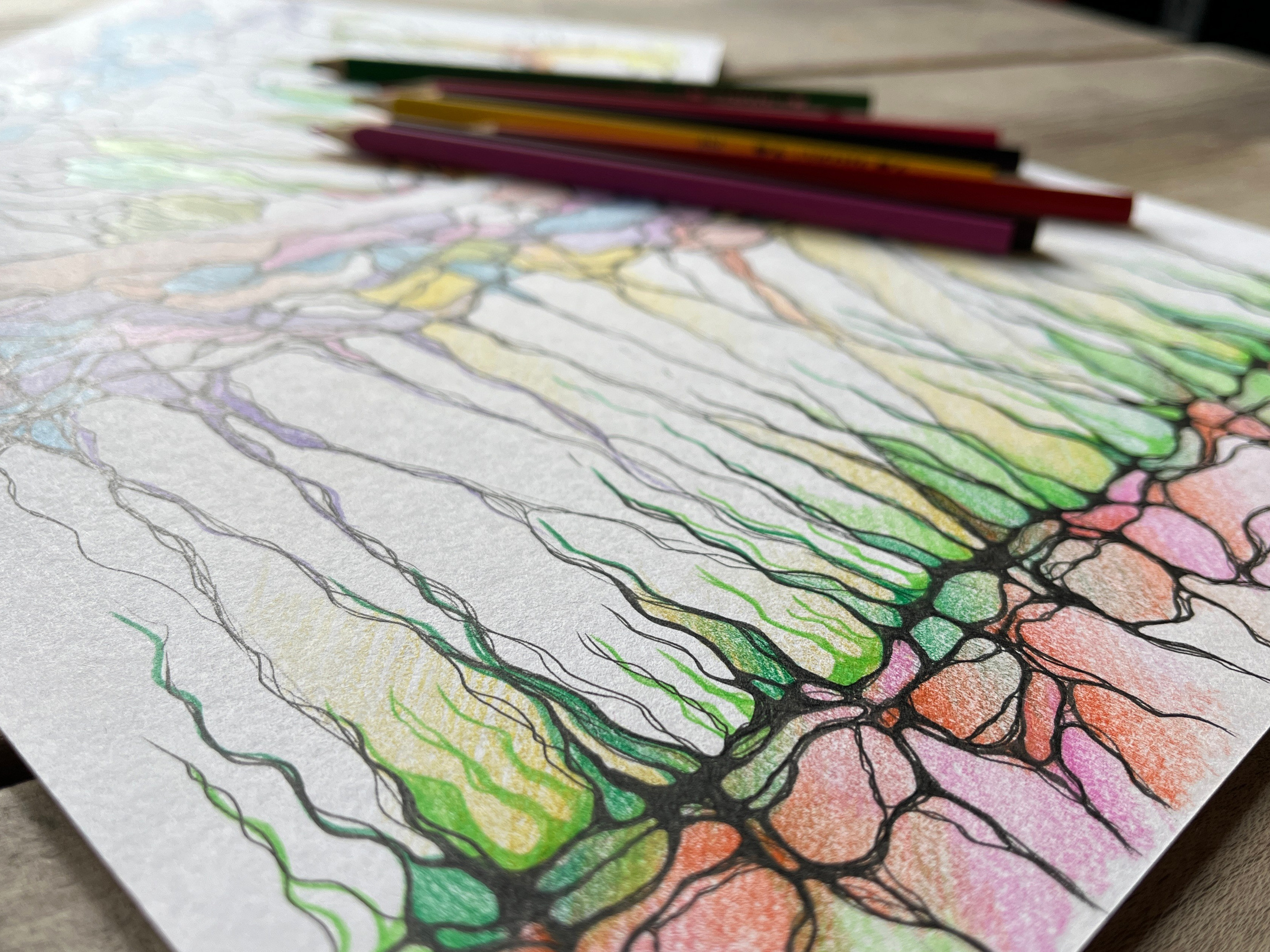 Denarni NevroDež. Numerologija. Nevrografika. Delavnice