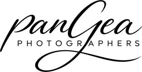 pangeaphotographers.com