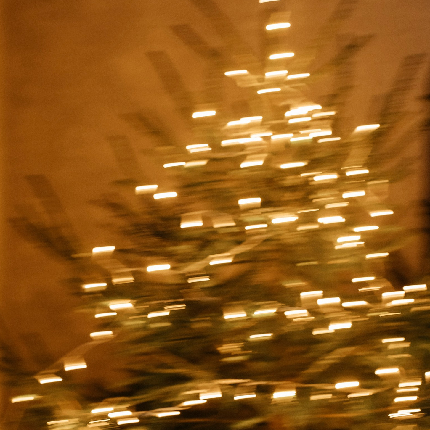 Фотограф из Таллинна. Фотограф Таллинн — свадьба |семья | lovestory