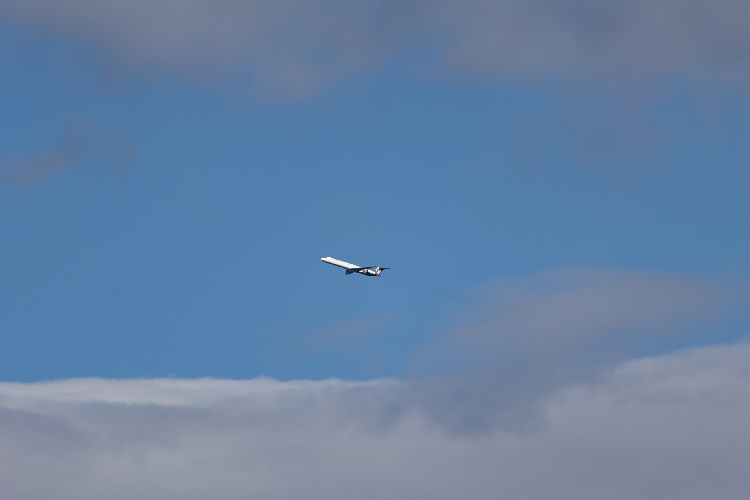 ფრთა ბუმბულისა და ფრთა რკინისა. Aragviani aero