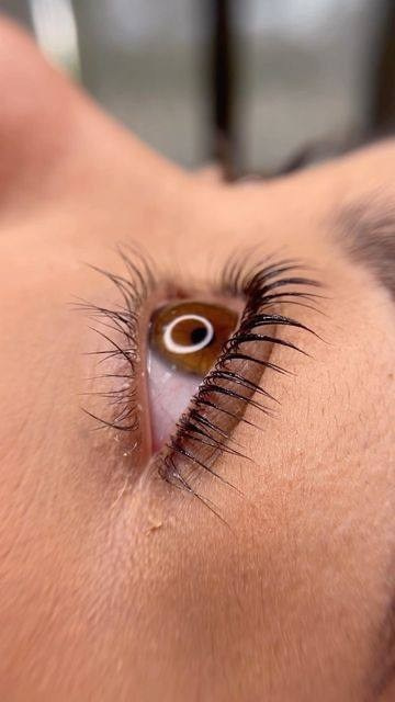 Gene și Sprâncene Perfecte – Lavime Hîncești. Lavime.md – Salon de Frumusețe Premium în Hîncești