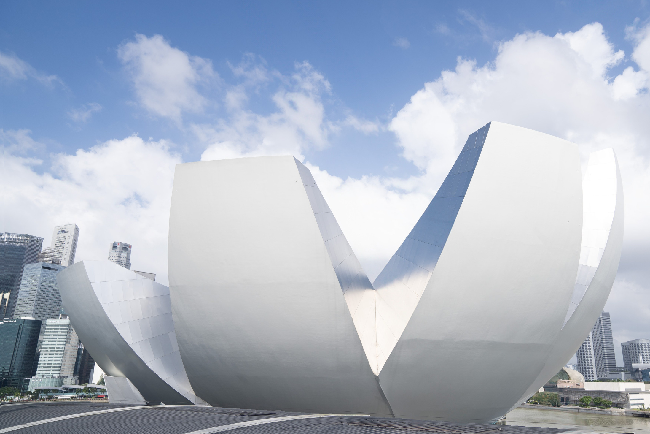 Art since Museum&Marina Bay (1). Dasha in Singapore