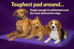 FAQ. Spumanti Dobermans