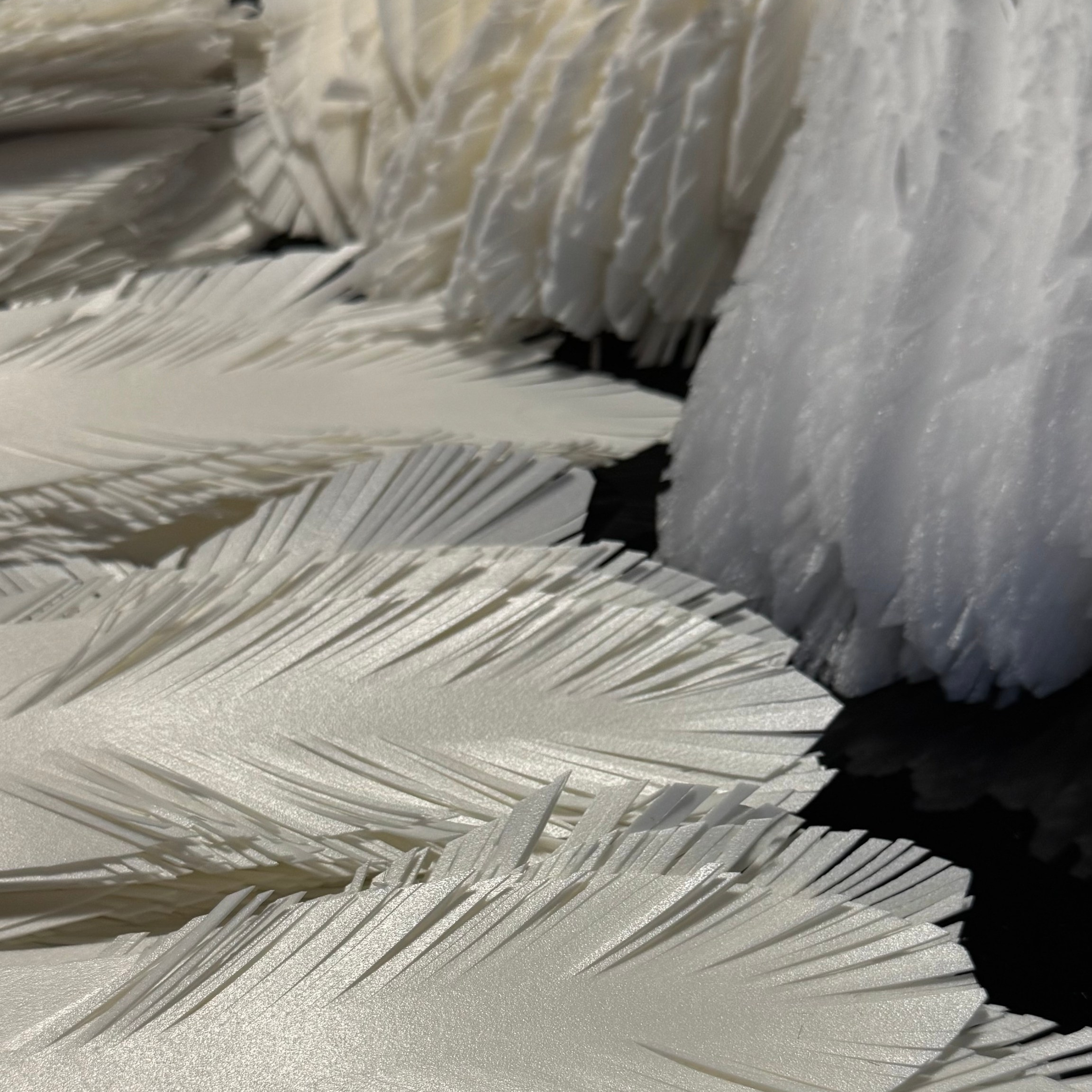 Process. Anna Arseņjeva | Fotogrāfe un Radītāja