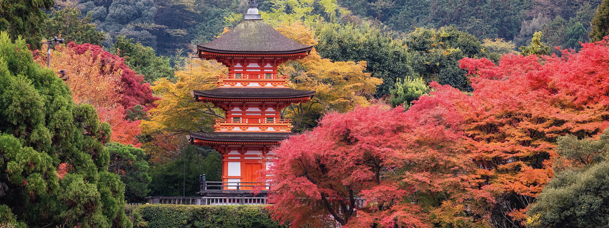 Расписание Туров и Мастер-Классов. Alex Mironyuk Photography