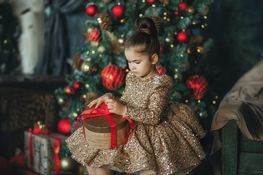 Виды Новогодних фотосессий. Новогодняя фотосессия (Днепр)