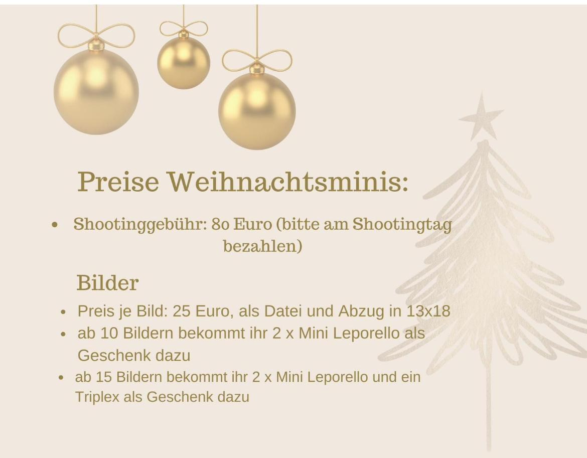 Weihnachtsminis 2025. Baby- und Familienfotografin in Iserlohn Swetlana Benner