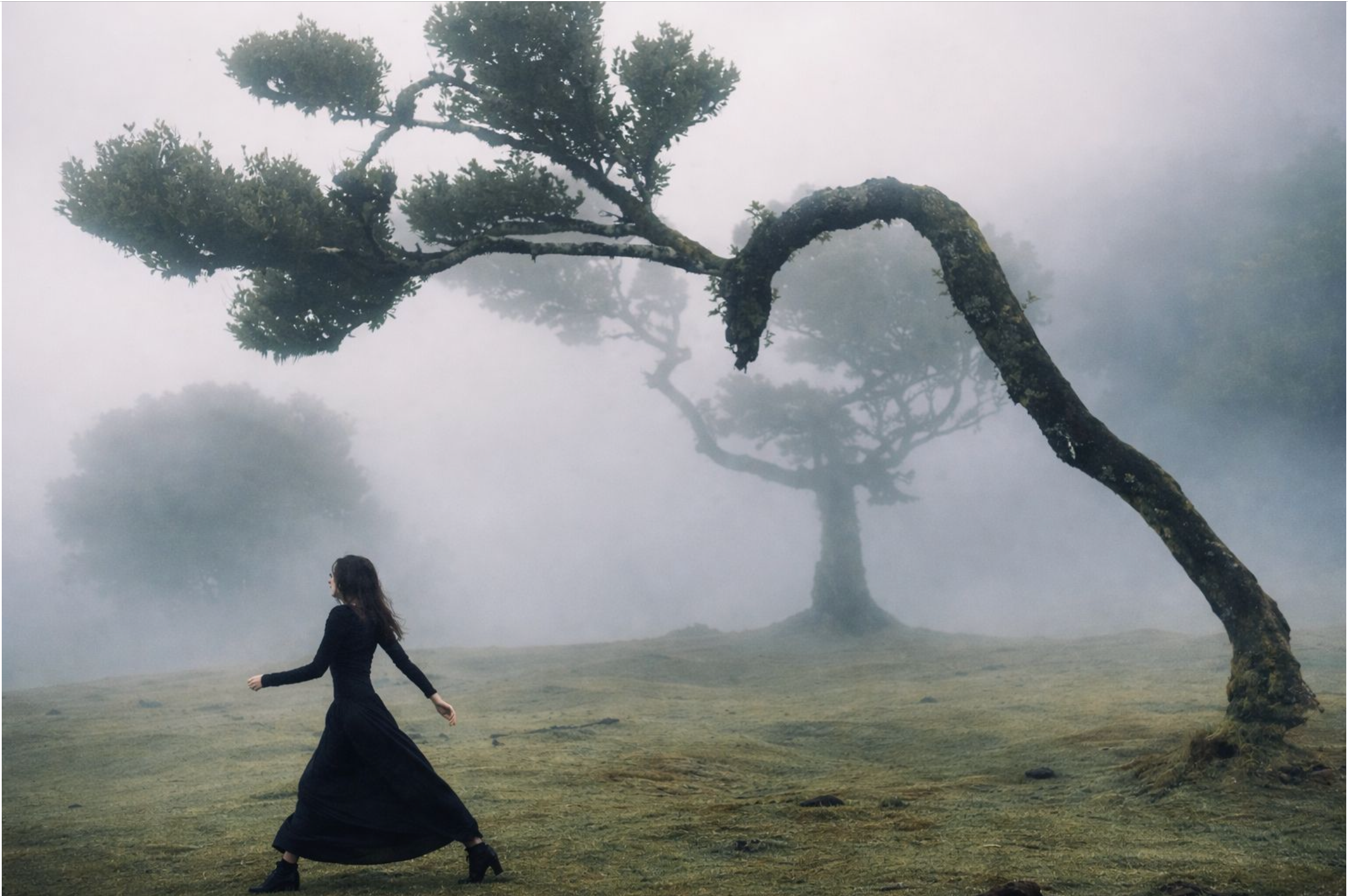 Photography. Charley Stadler