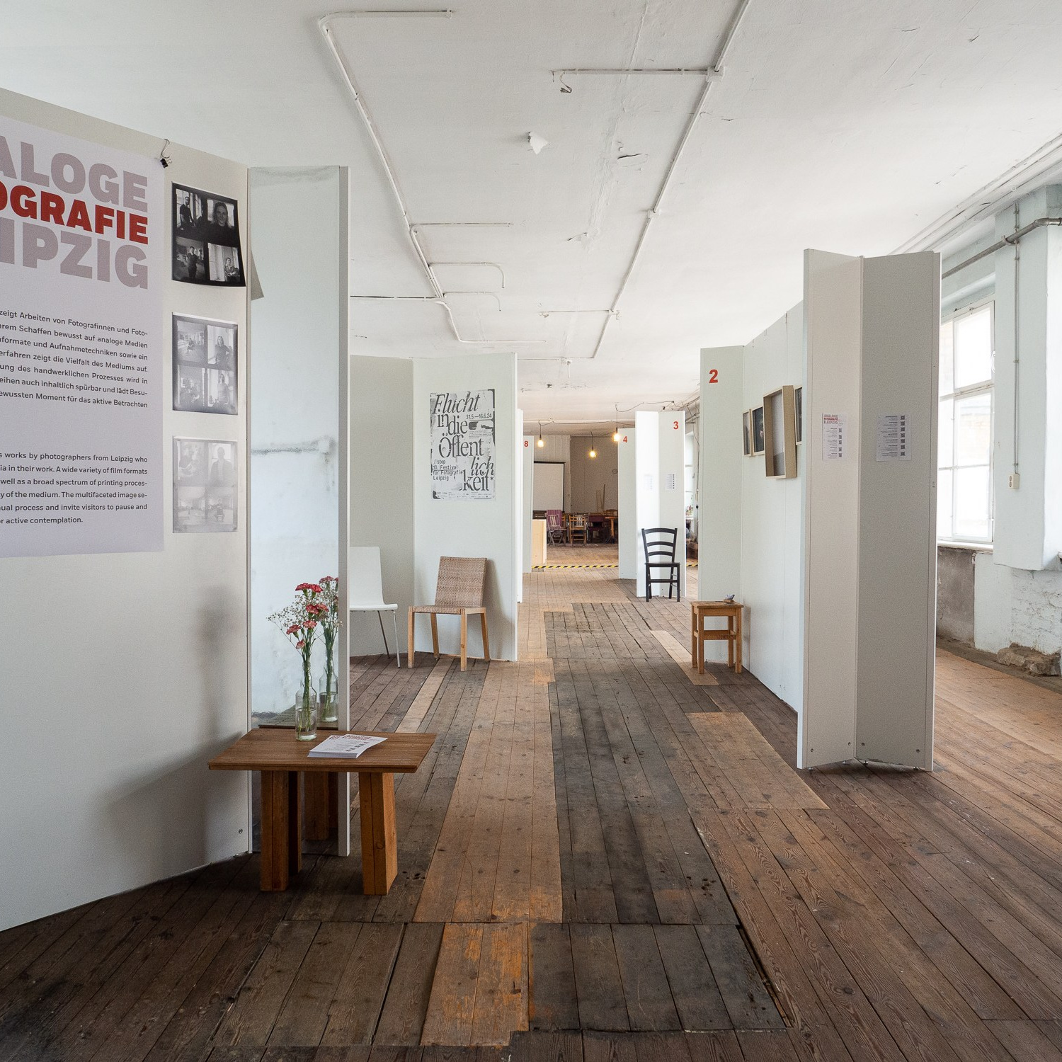 Current exhibition. Anastasia Musinova