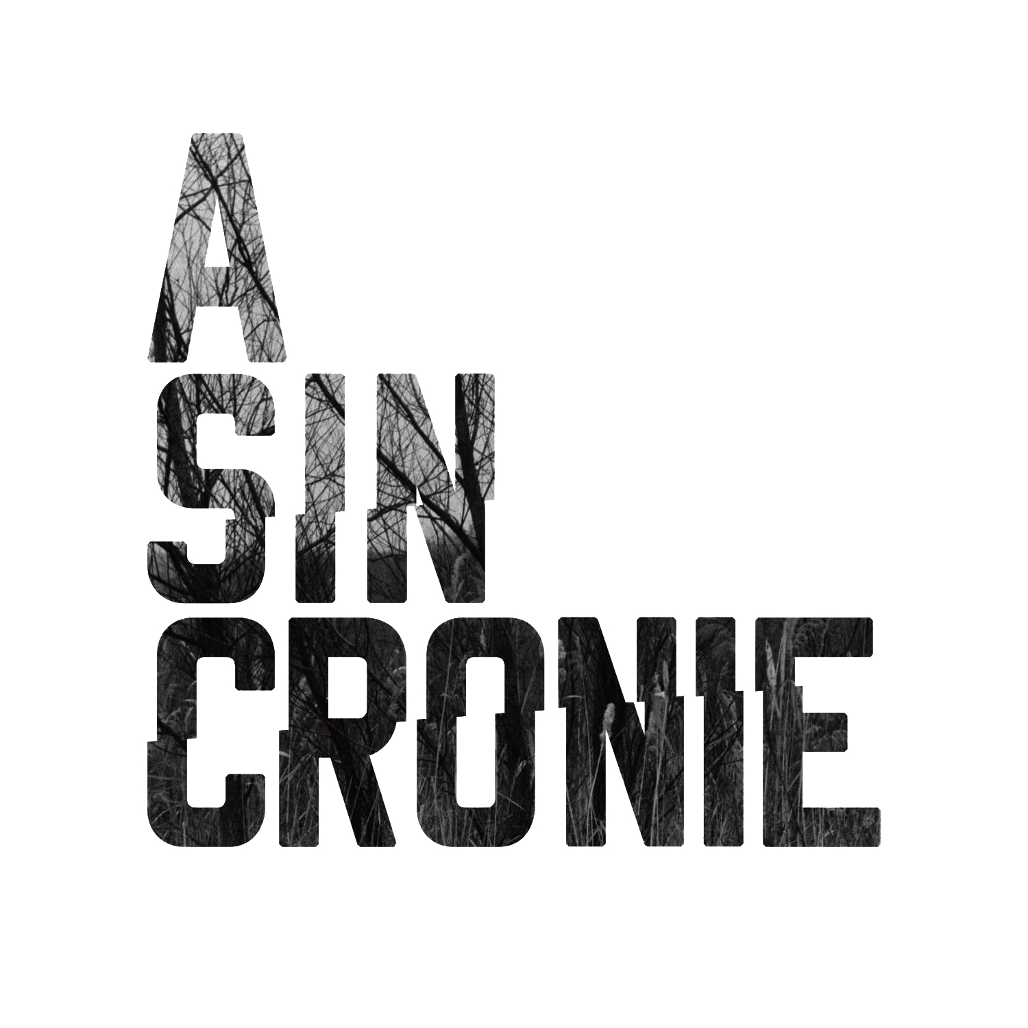 The Don Steppe, Asincronie Documentary Cinema and Photography Festival. Миша Масленников. Документальная фотография. Одесса