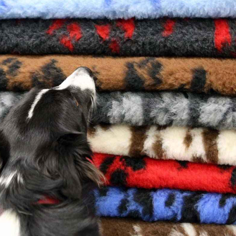 Подарунки. Фотограф-анімаліст Київ