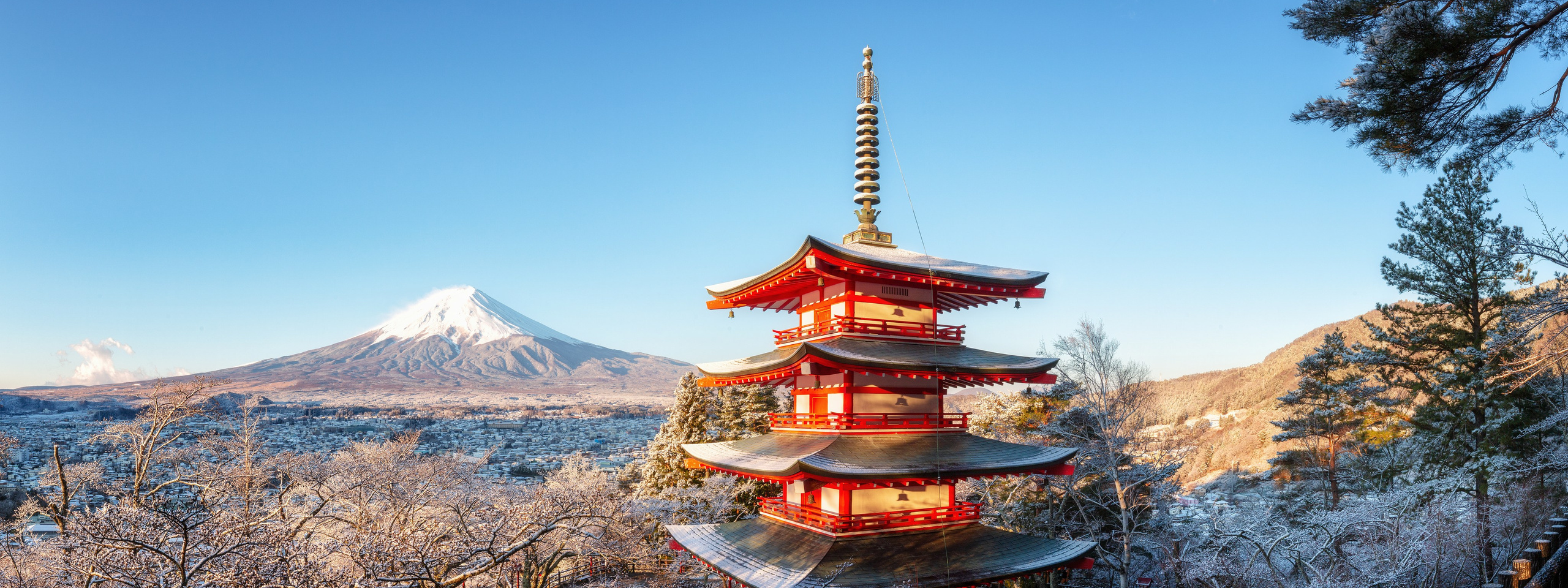 Hanami Season in Japan. Pet, Senior, Landscape, portrait studio, photographer in Miami and Sou