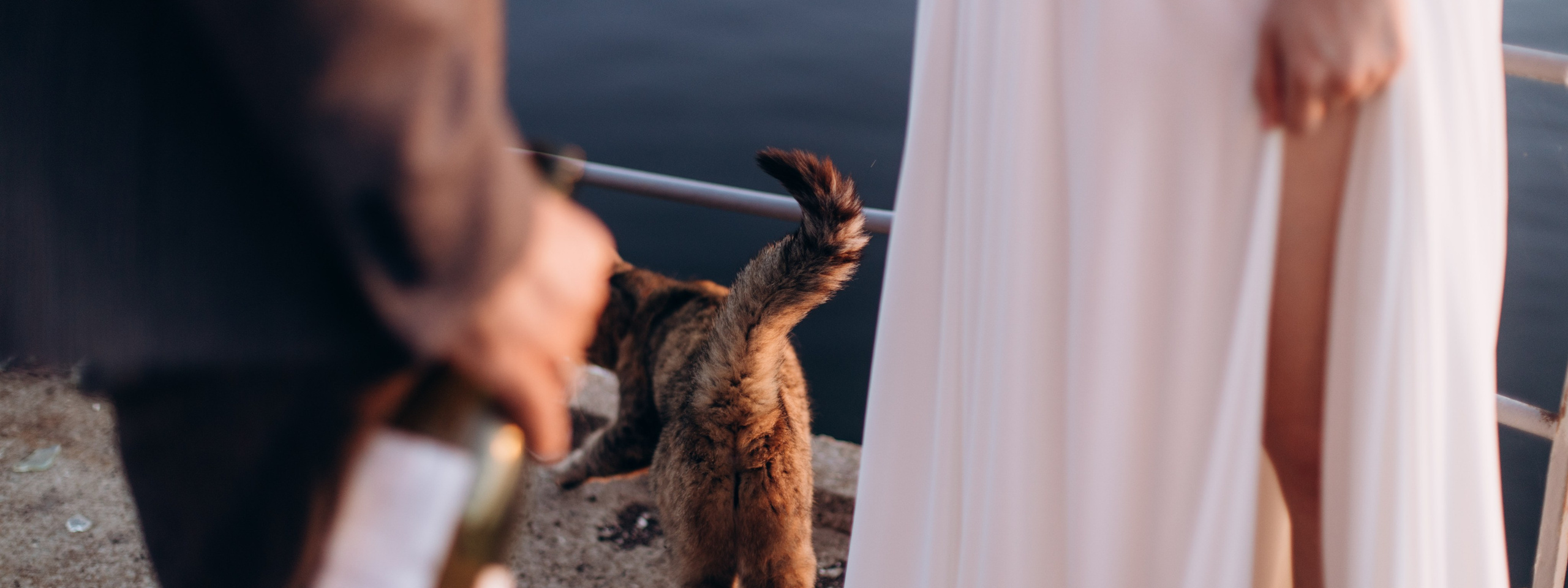 Photoshoot. Photographer Andrey Nekrasov