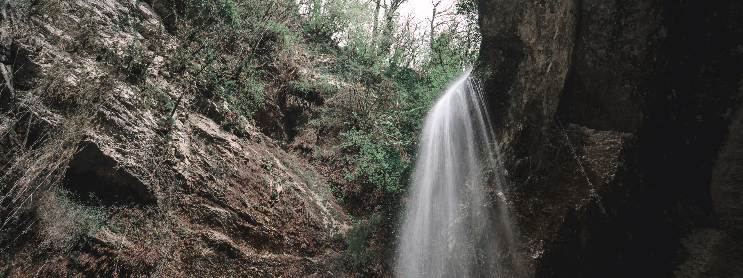 Waterfall keeper. Photographer Phuket