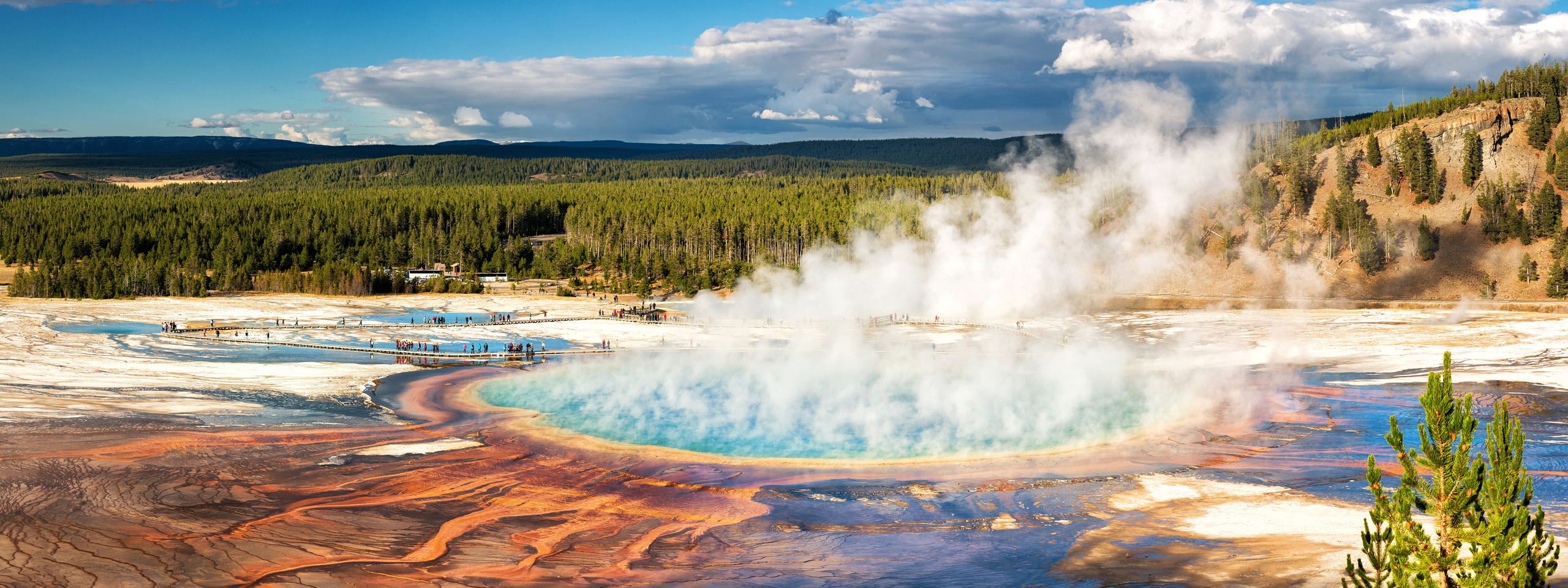 Yellowstone & Grand Teton. Alex Mironyuk Photography