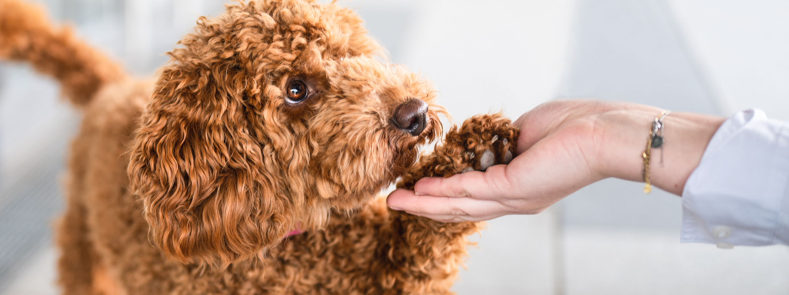 Kontakt. Tierfotografie und Familienfotografie in der Hallertau